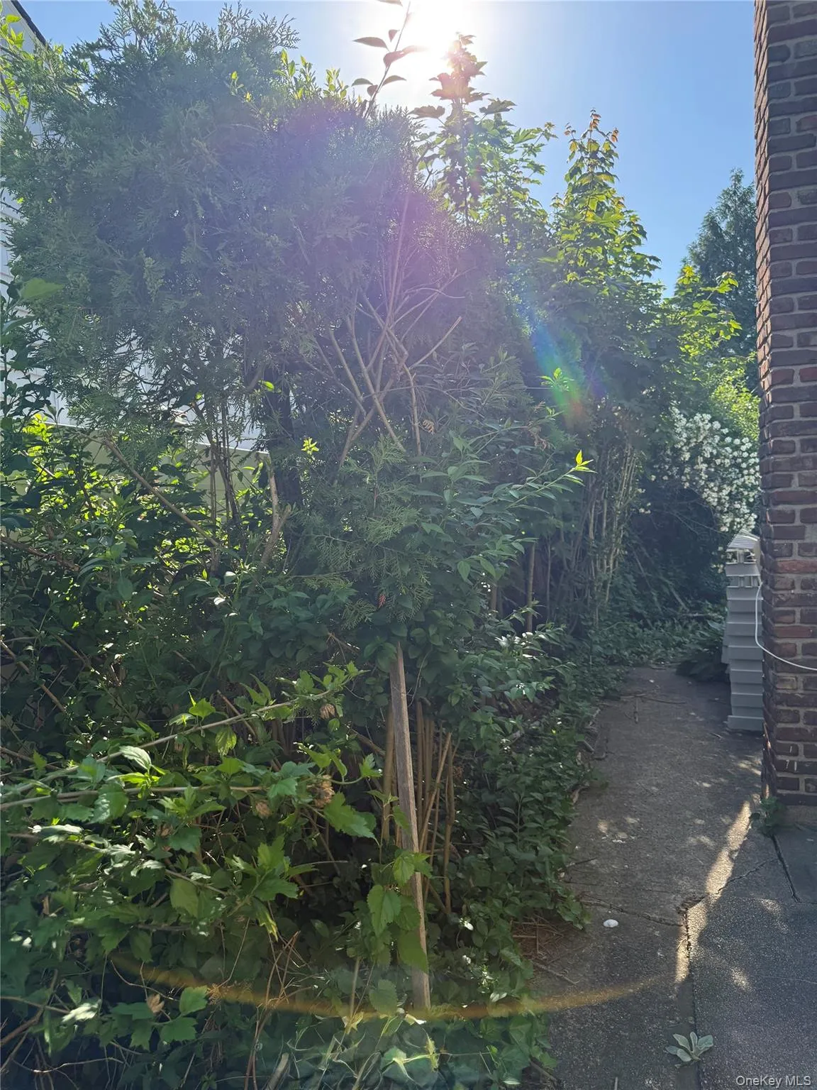2582 Oceanside Road, Hempstead, NY, 3 Bedrooms Bedrooms, 6 Rooms Rooms,1 BathroomBathrooms,Residential,For Rent,Oceanside,0,938089 2582 Oceanside Road, Hempstead, NY, 3 Bedrooms Bedrooms, 6 Rooms Rooms,1 BathroomBathrooms,Residential,For Rent,Oceanside,0,938089