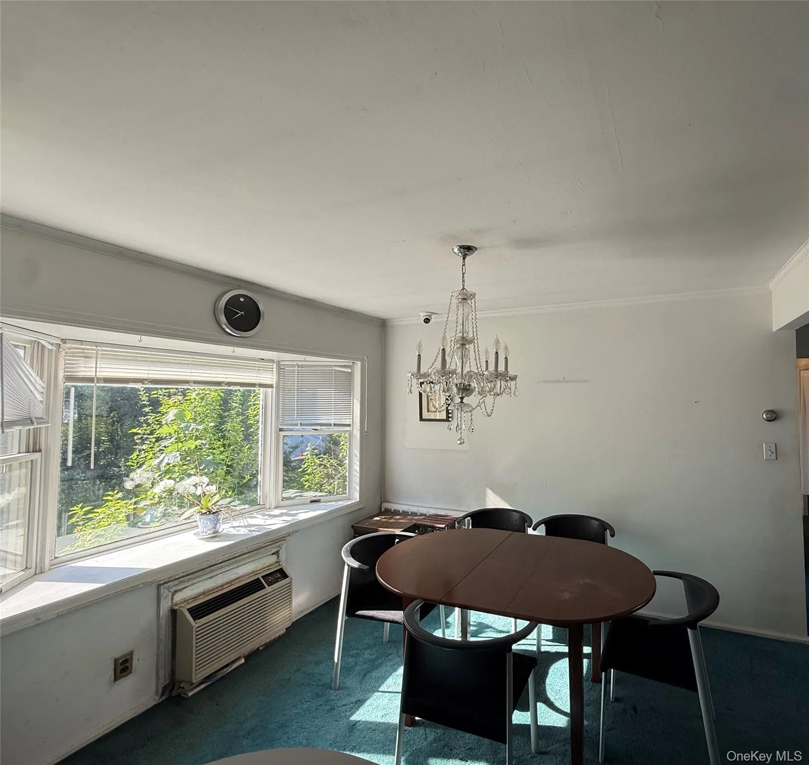 2582 Oceanside Road, Hempstead, NY, 3 Bedrooms Bedrooms, 6 Rooms Rooms,1 BathroomBathrooms,Residential,For Rent,Oceanside,0,938089 2582 Oceanside Road, Hempstead, NY, 3 Bedrooms Bedrooms, 6 Rooms Rooms,1 BathroomBathrooms,Residential,For Rent,Oceanside,0,938089