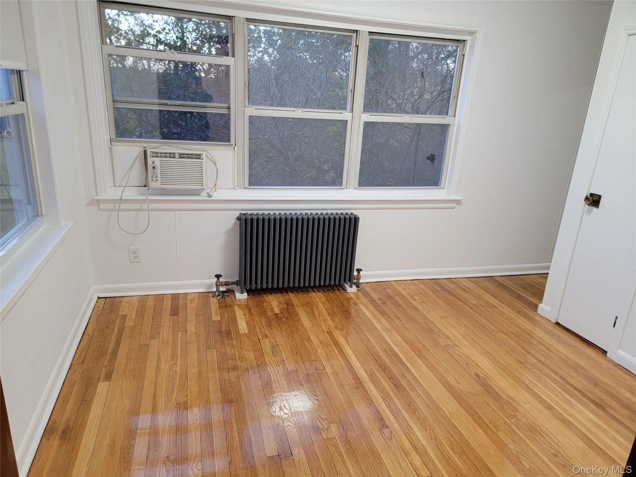 Spare room with radiator heating unit and light wood-style flooring Spare room with radiator heating unit and light wood-style flooring