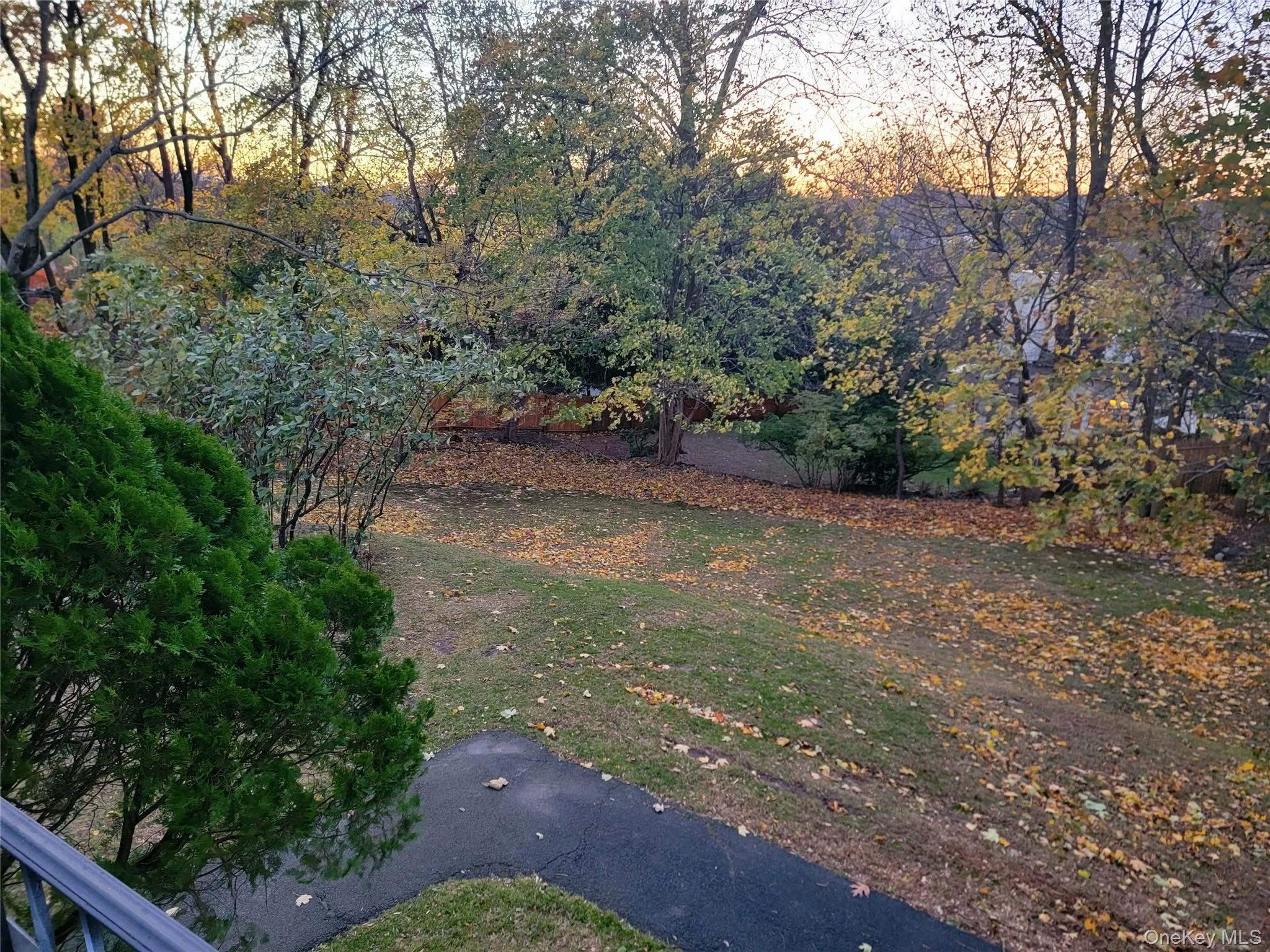 View of yard View of yard