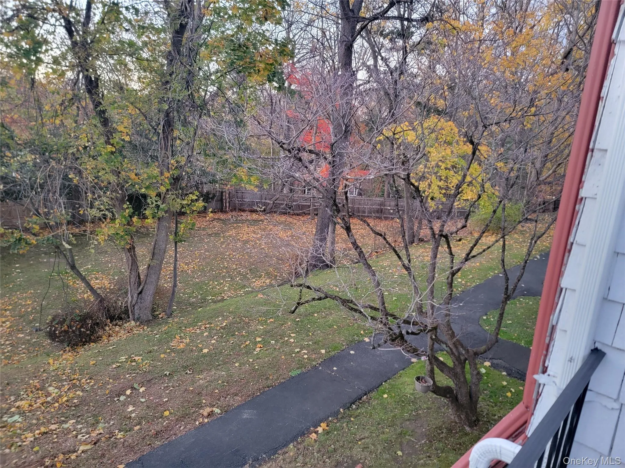 View of grassy yard View of grassy yard