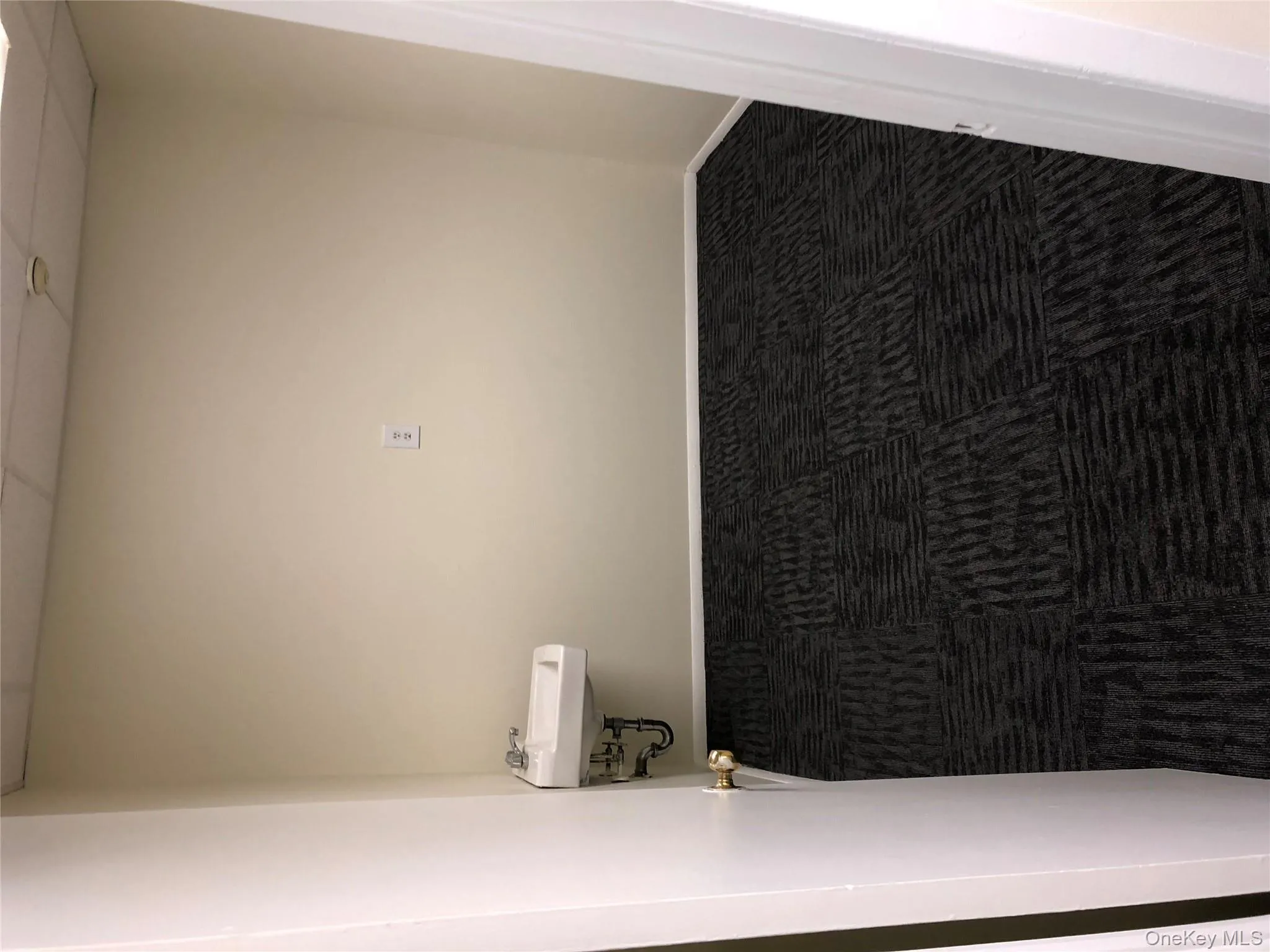 Bathroom featuring a paneled ceiling and carpet floors Bathroom featuring a paneled ceiling and carpet floors