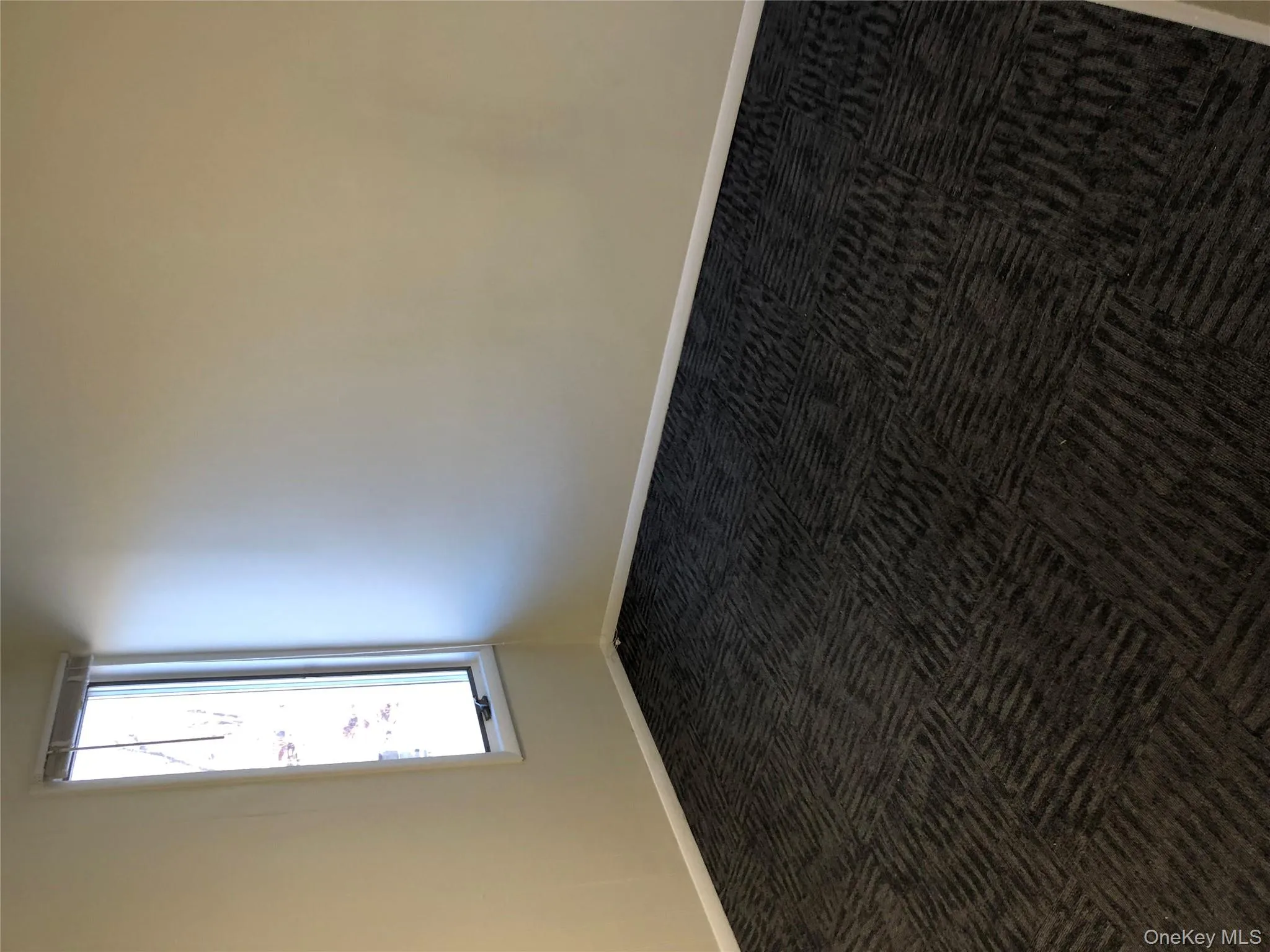 Carpeted empty room featuring baseboards Carpeted empty room featuring baseboards