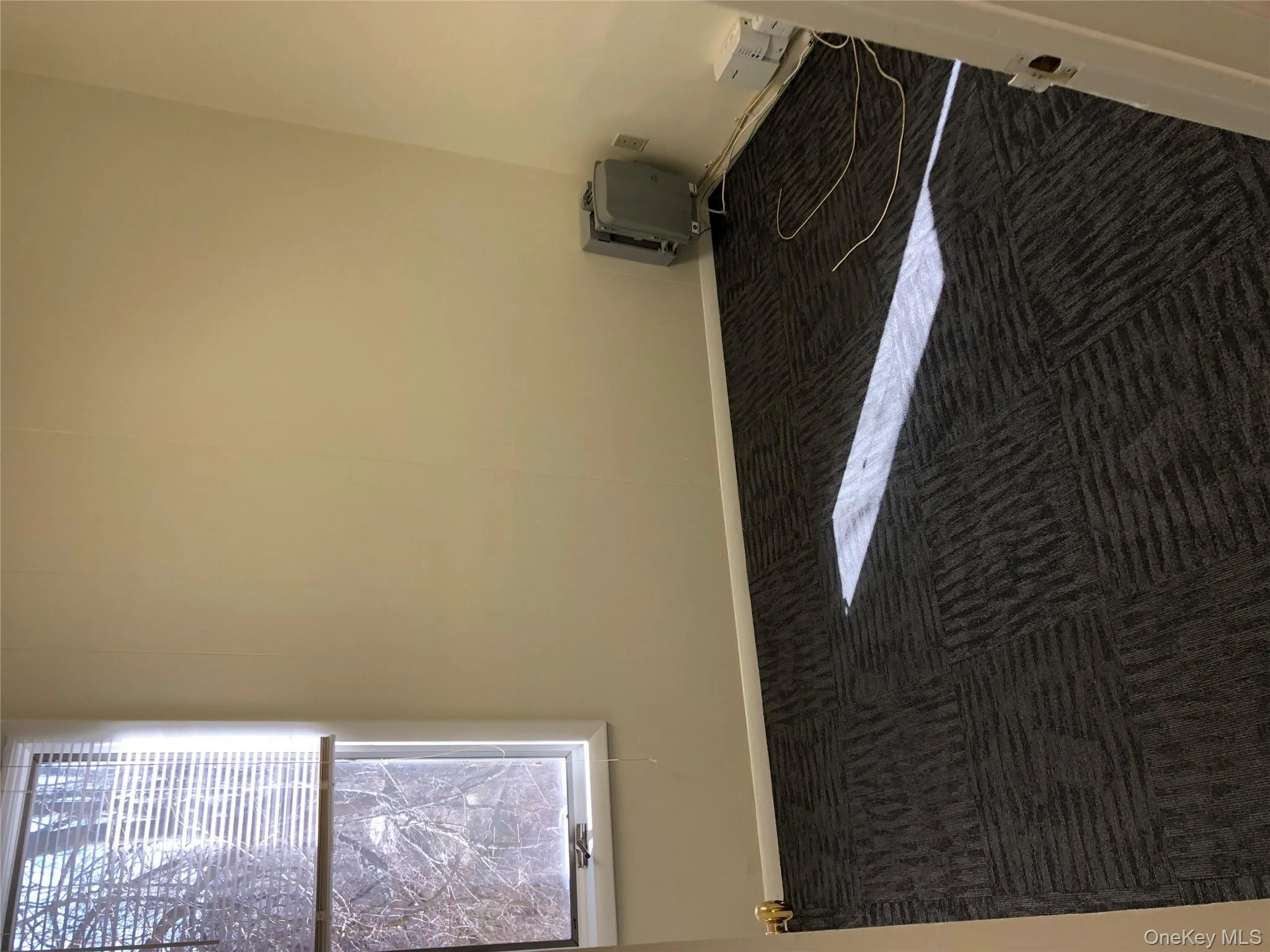 Unfurnished room featuring carpet flooring and baseboards Unfurnished room featuring carpet flooring and baseboards