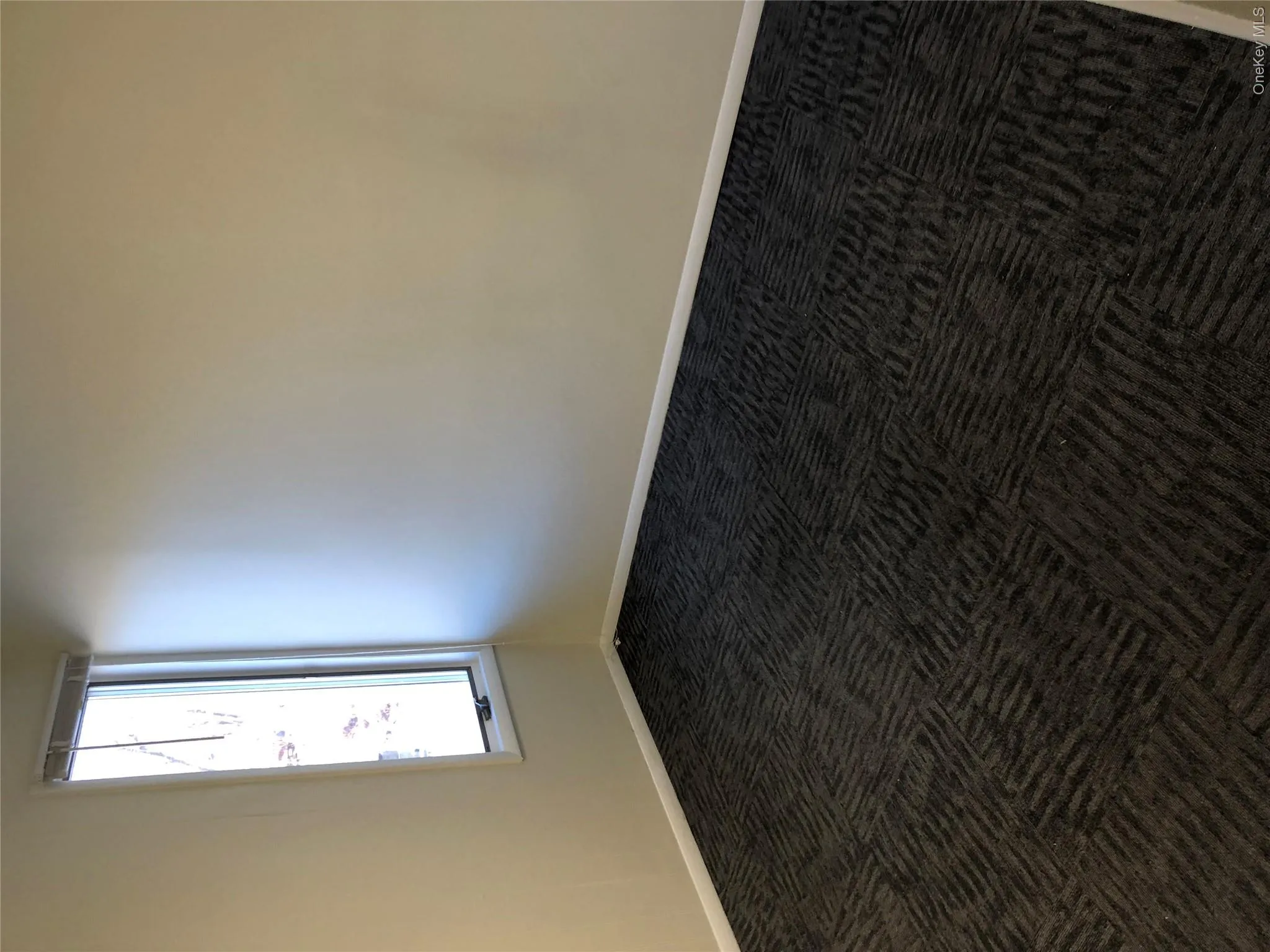 Carpeted empty room featuring baseboards Carpeted empty room featuring baseboards