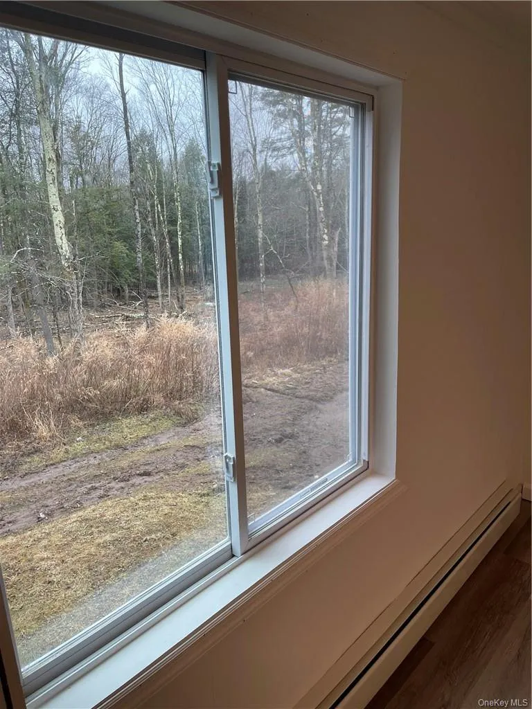 4927 State Route 55, Liberty, NY, 1 Bedroom Bedrooms, 4 Rooms Rooms,1 BathroomBathrooms,Residential Lease,Idx,State Route 55,0,938255 4927 State Route 55, Liberty, NY, 1 Bedroom Bedrooms, 4 Rooms Rooms,1 BathroomBathrooms,Residential Lease,Idx,State Route 55,0,938255