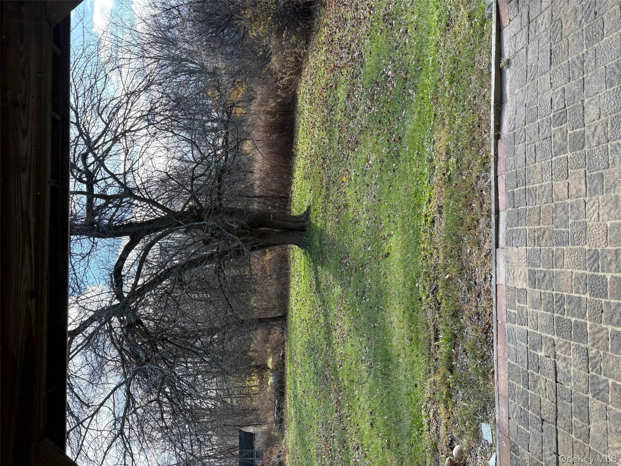 View of grassy yard View of grassy yard