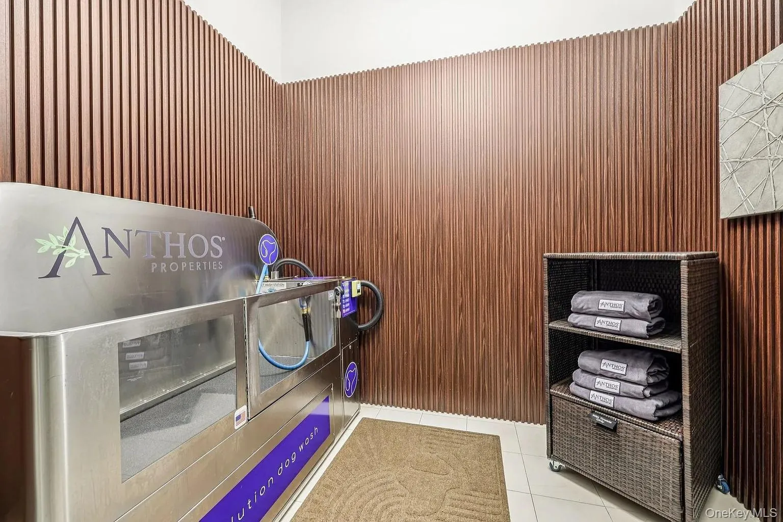 Room featuring wood walls and pet washing station Room featuring wood walls and pet washing station