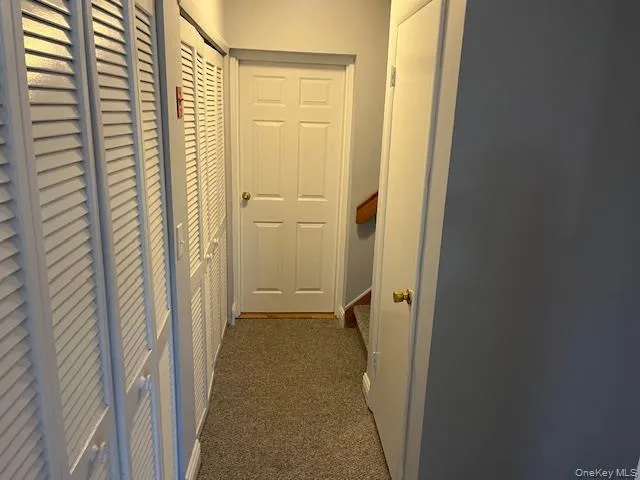 Hall with dark carpet Hall with dark carpet