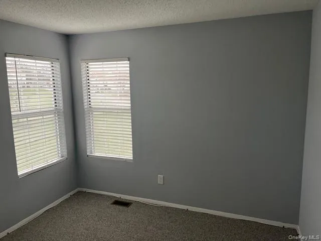 Carpeted empty room with baseboards and a textured ceiling Carpeted empty room with baseboards and a textured ceiling