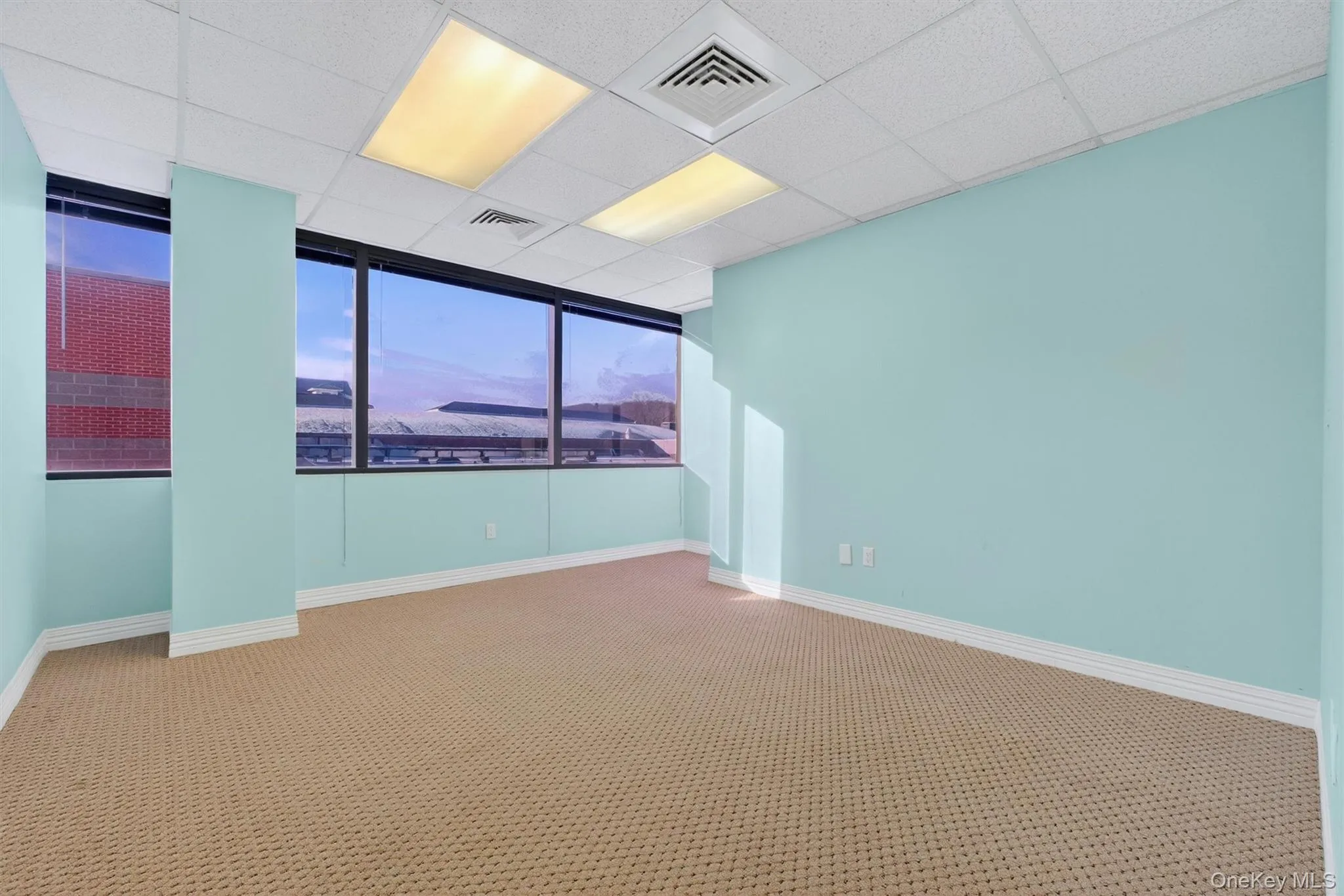 Carpeted spare room with a drop ceiling and baseboards Carpeted spare room with a drop ceiling and baseboards