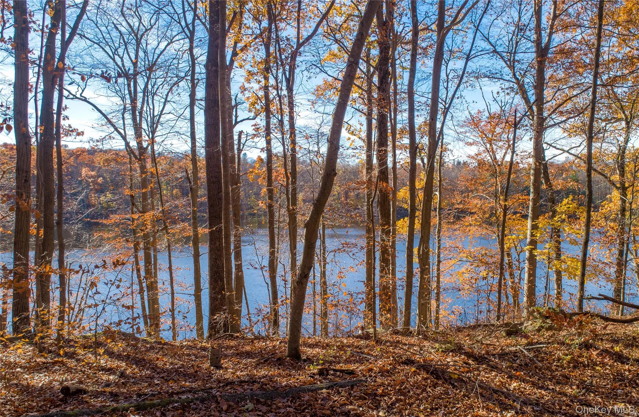 Beyond the private lake, the land is enriched by two tributaries of the East Branch Croton River and approximately 1,640 feet of direct frontage on the river itself — a renowned stretch for kayaking and canoeing within the pristine Great Swamp watershed. Beyond the private lake, the land is enriched by two tributaries of the East Branch Croton River and approximately 1,640 feet of direct frontage on the river itself — a renowned stretch for kayaking and canoeing within the pristine Great Swamp watershed.