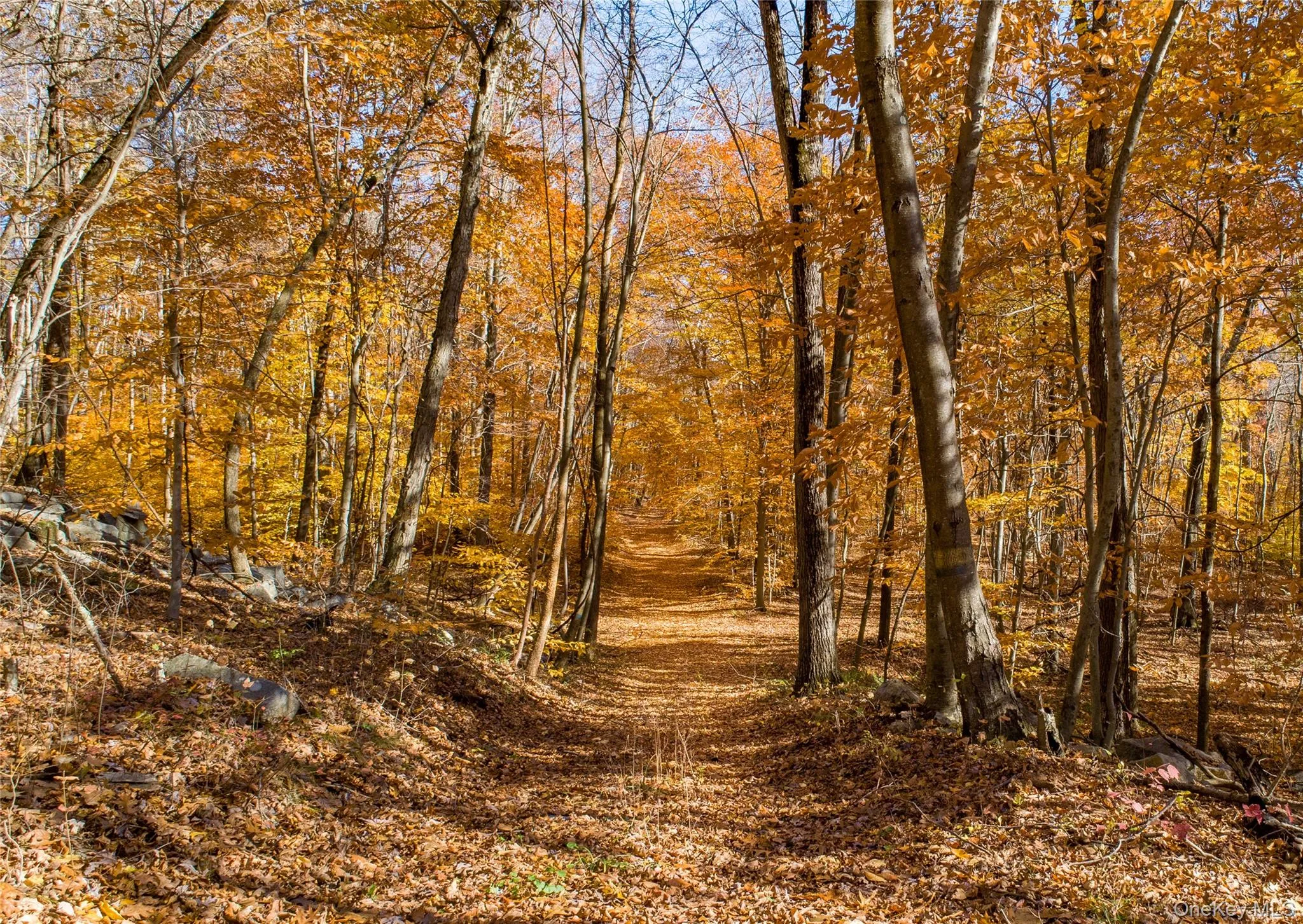 Miles of established trails wind through the property. Miles of established trails wind through the property.