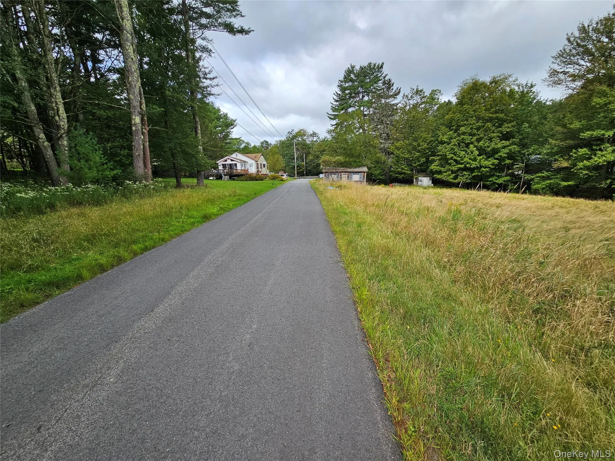 View of asphalt road with view of wooded area View of asphalt road with view of wooded area