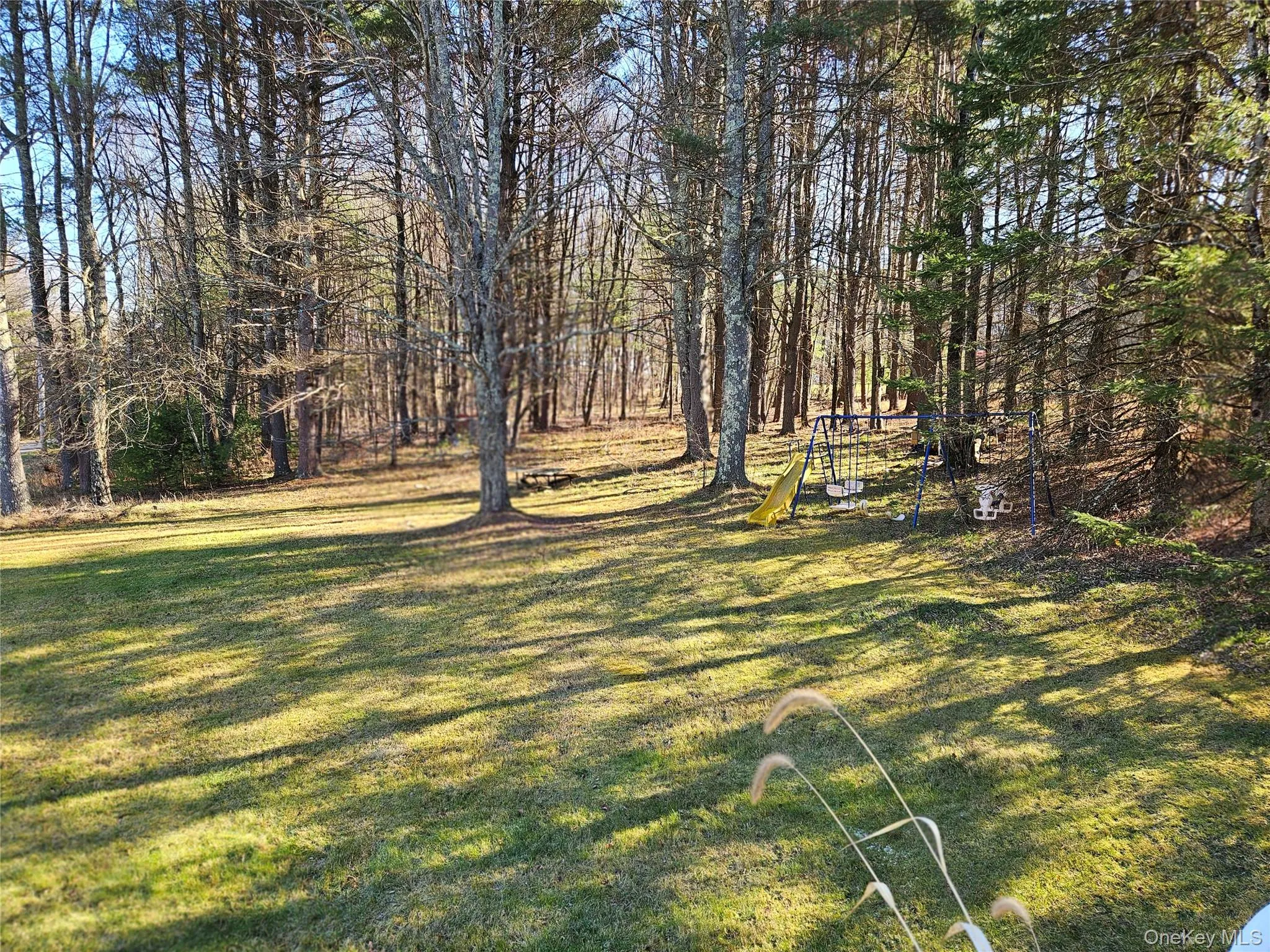 View of grassy yard View of grassy yard