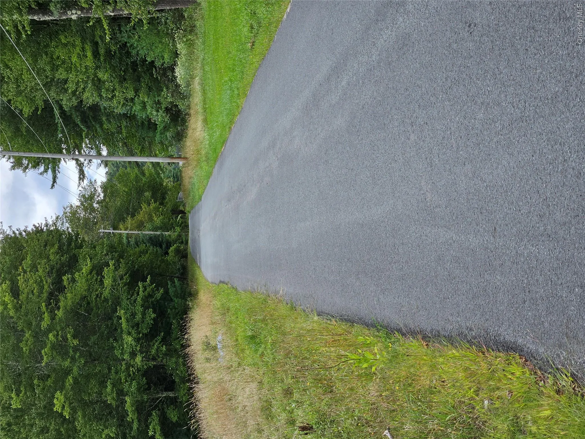 View of asphalt road with a forest view View of asphalt road with a forest view