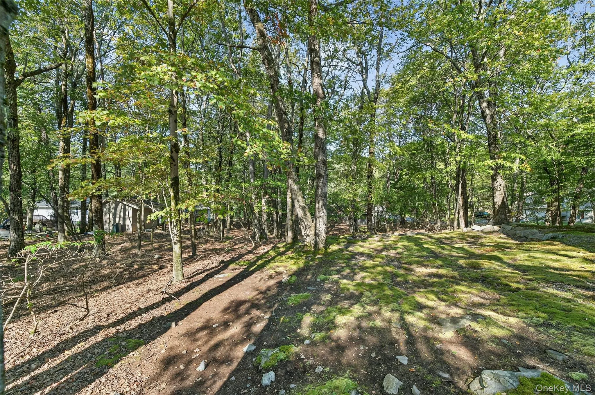 View of yard View of yard