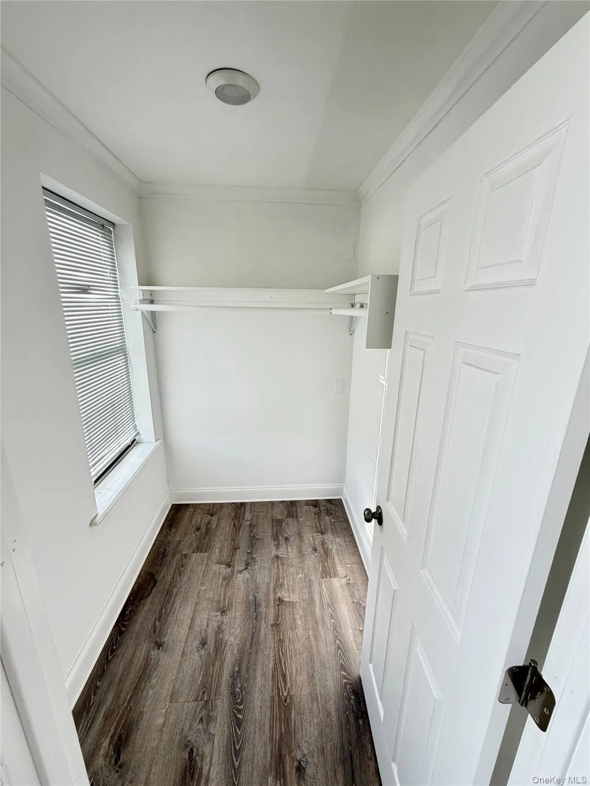 Spacious closet featuring dark wood finished floors Spacious closet featuring dark wood finished floors
