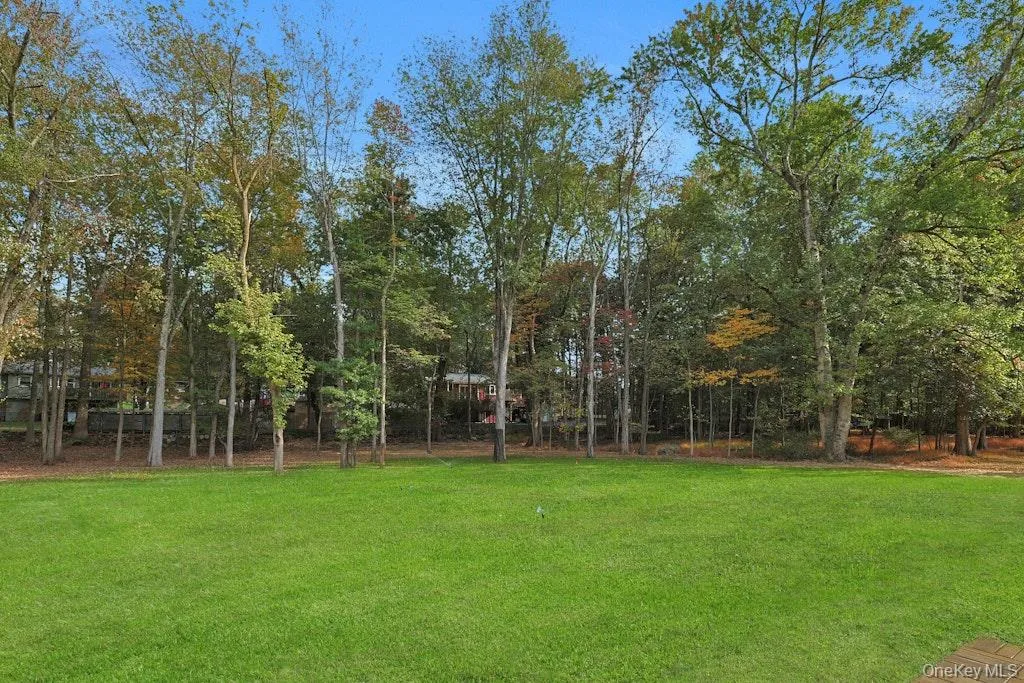 View of green lawn View of green lawn