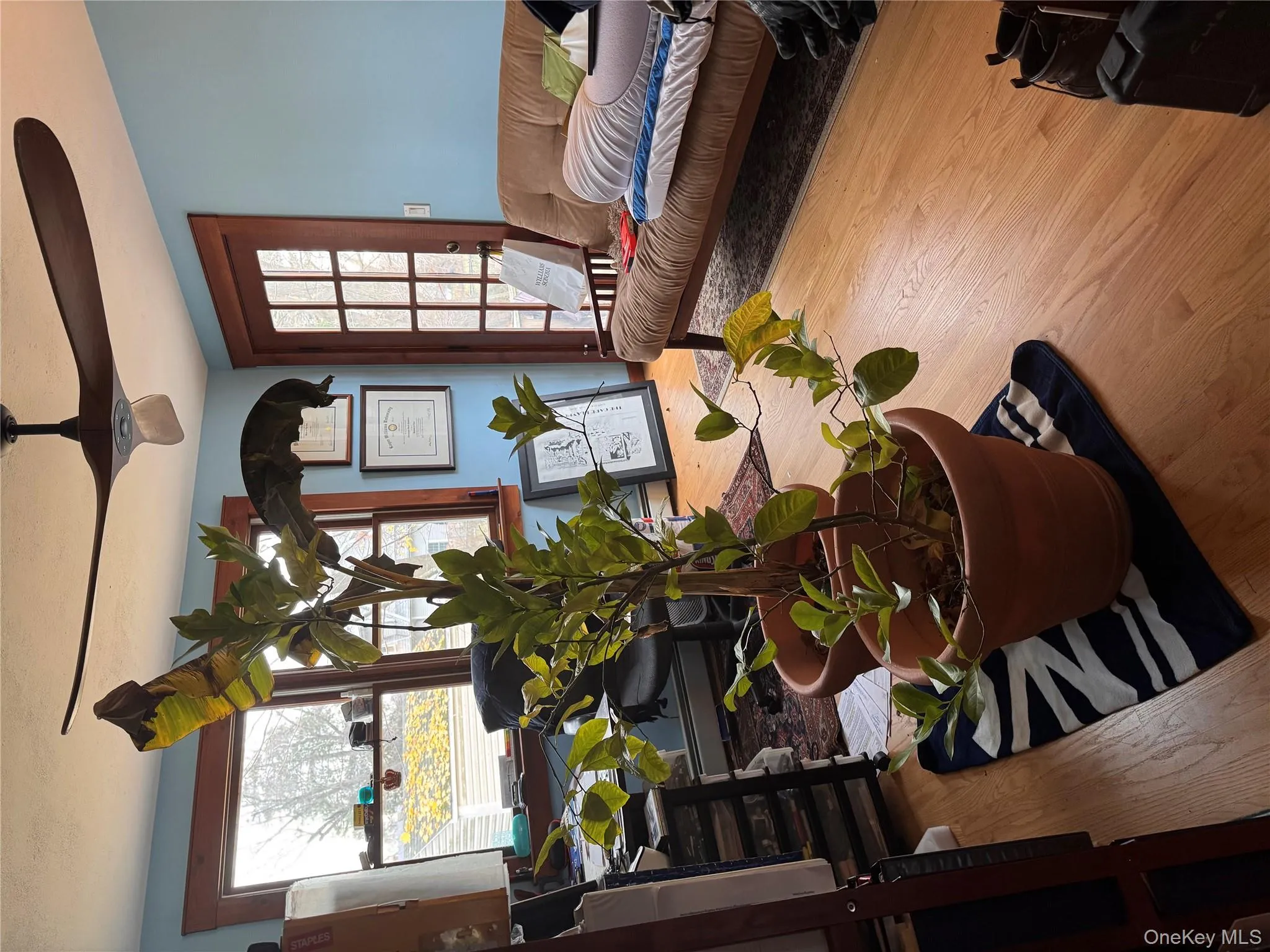 Living room with plenty of natural light, light wood-style floors, and ceiling fan Living room with plenty of natural light, light wood-style floors, and ceiling fan