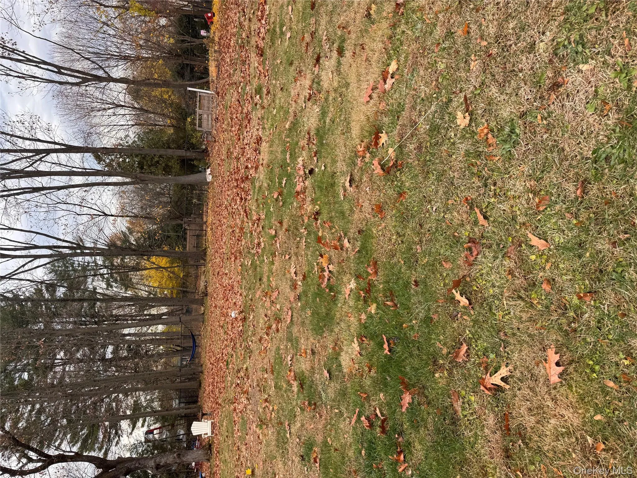 View of yard View of yard