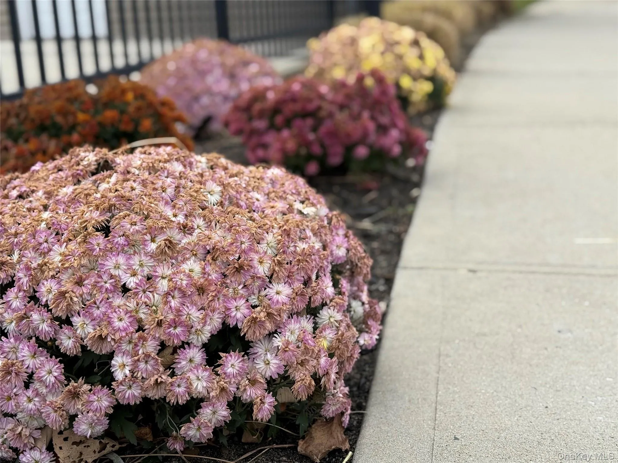 Exterior view. Exterior view.