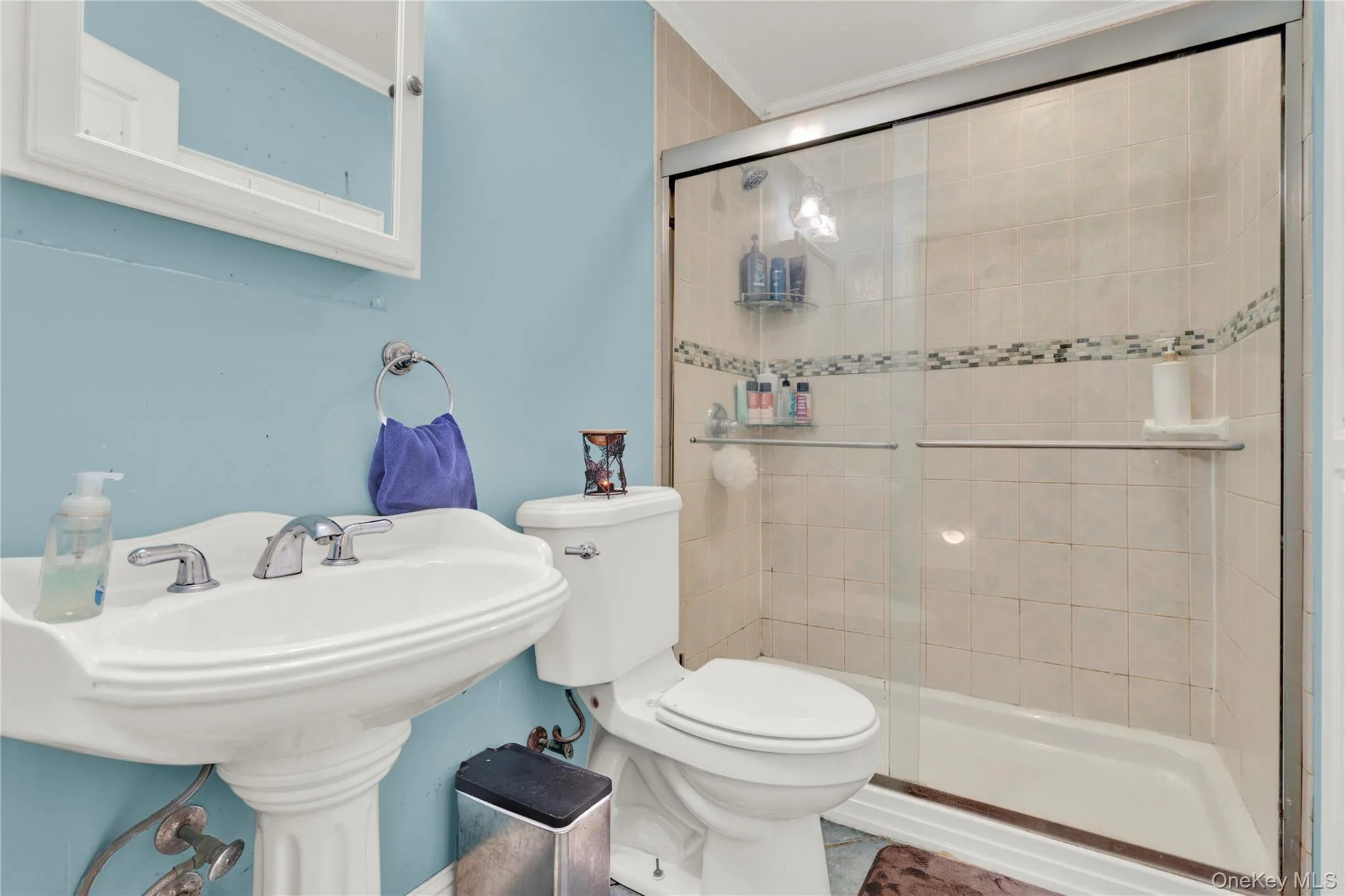 Full bathroom featuring crown molding and a shower stall Full bathroom featuring crown molding and a shower stall