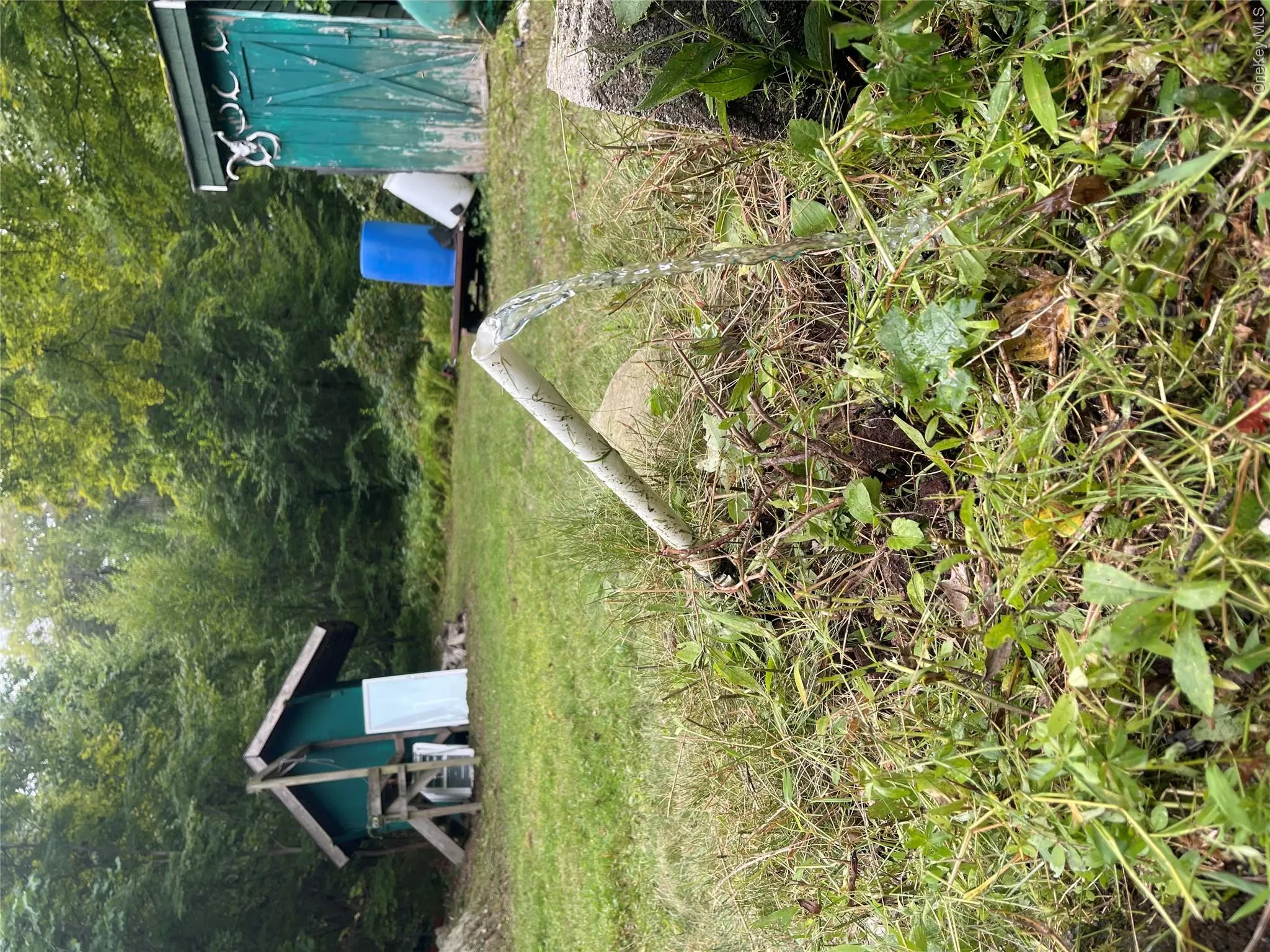 View of grassy yard featuring an outbuilding View of grassy yard featuring an outbuilding