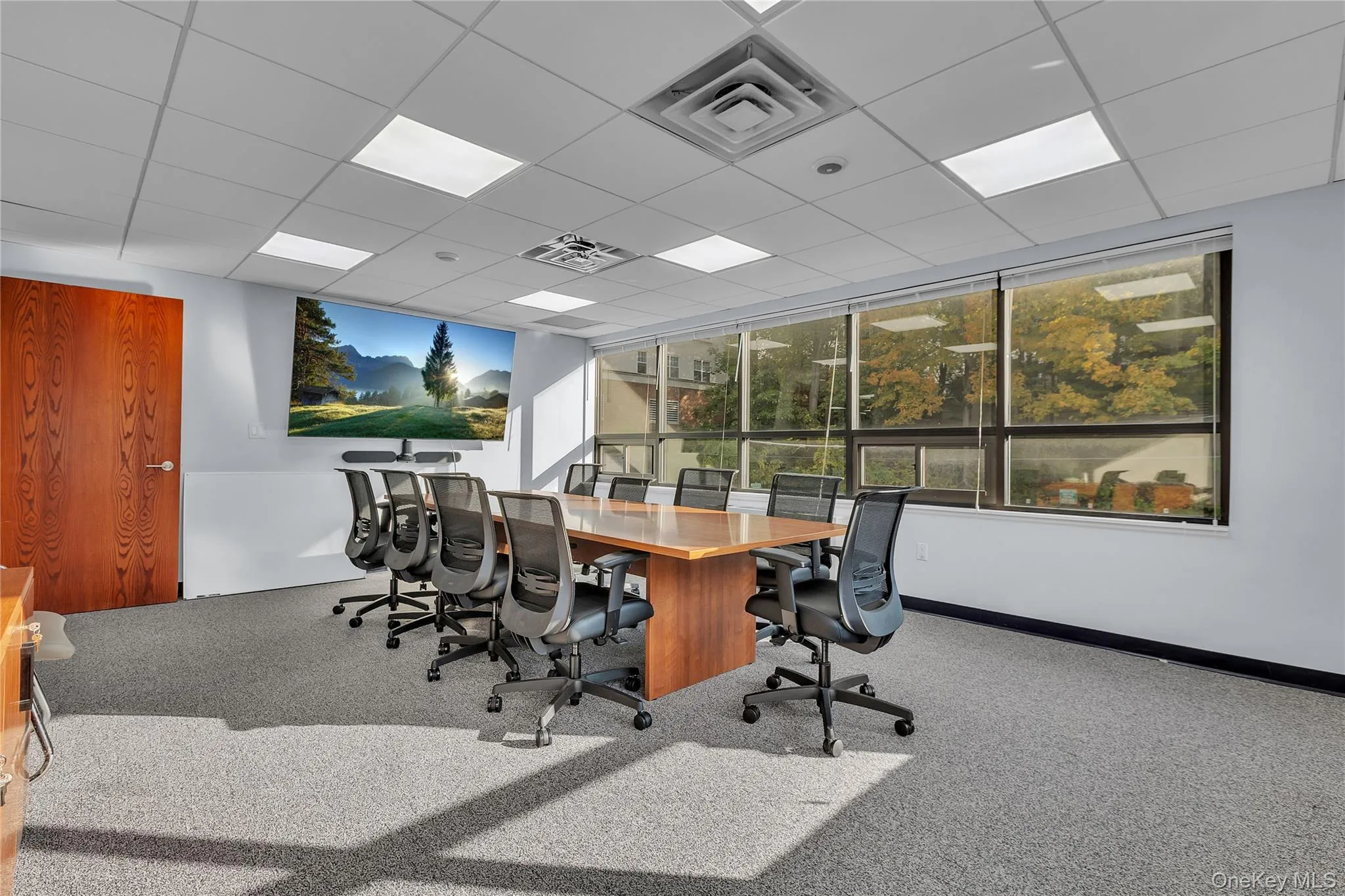 Office featuring a paneled ceiling Office featuring a paneled ceiling