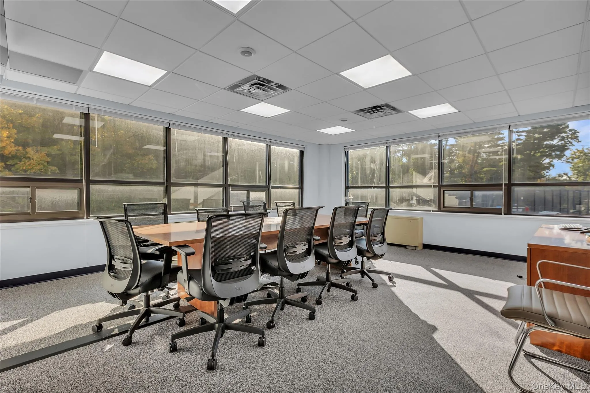 Office featuring a paneled ceiling Office featuring a paneled ceiling