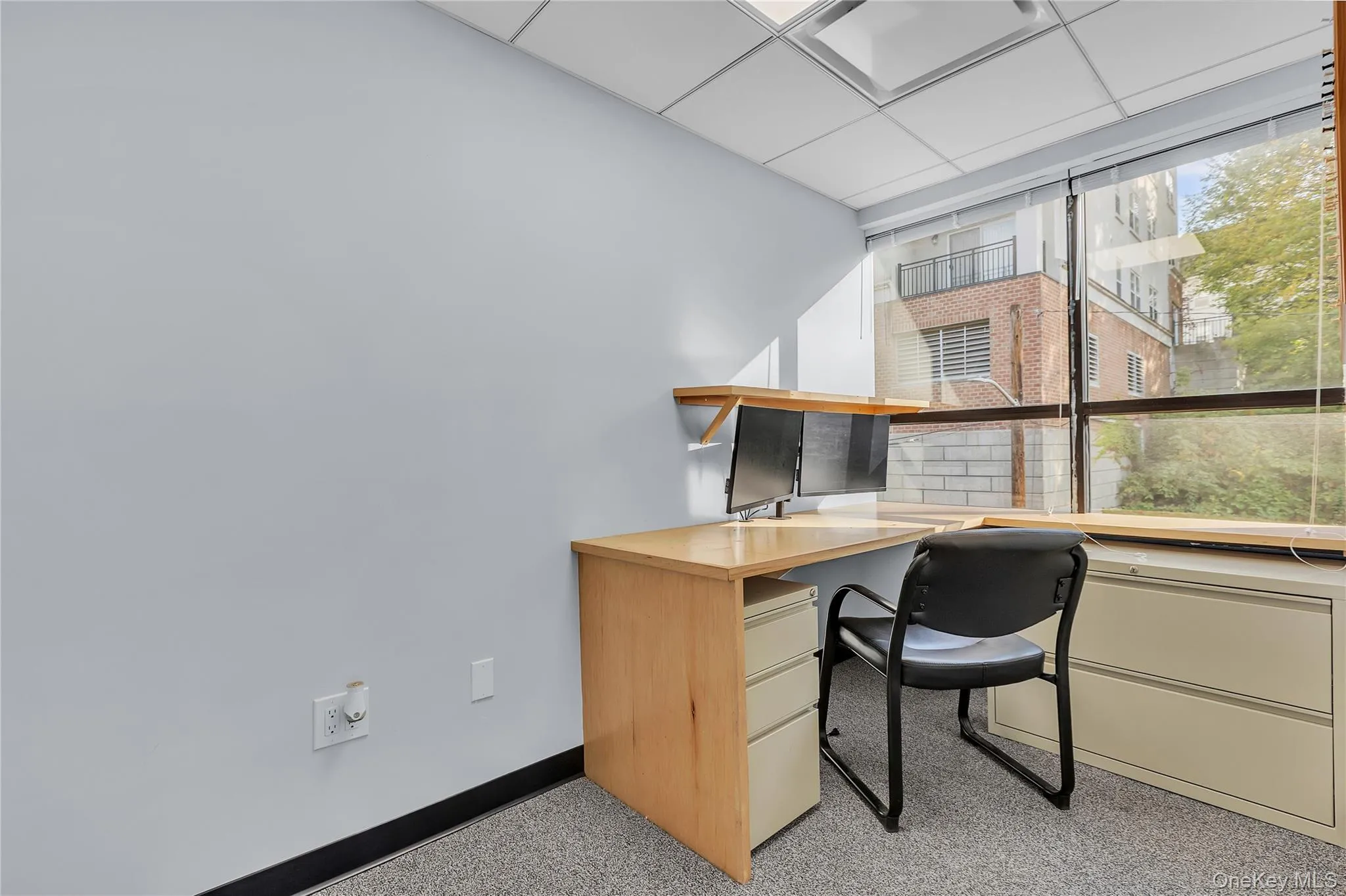 Office space with healthy amount of natural light, a paneled ceiling, and light colored carpet Office space with healthy amount of natural light, a paneled ceiling, and light colored carpet