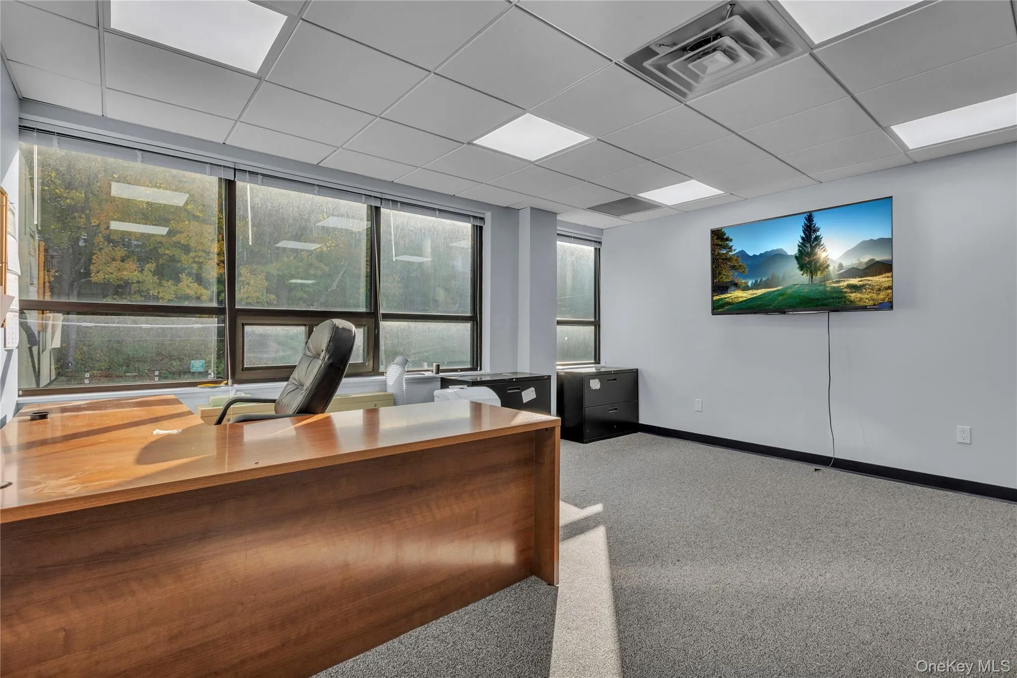 Office space with a drop ceiling and expansive windows Office space with a drop ceiling and expansive windows