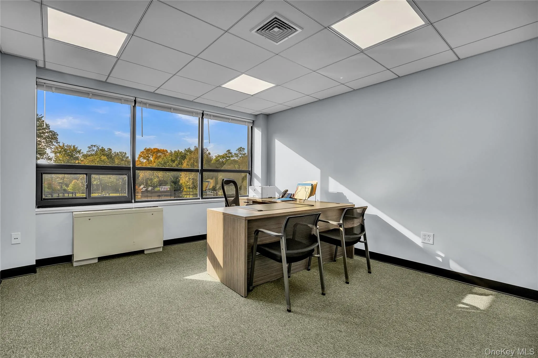 Office with a drop ceiling Office with a drop ceiling