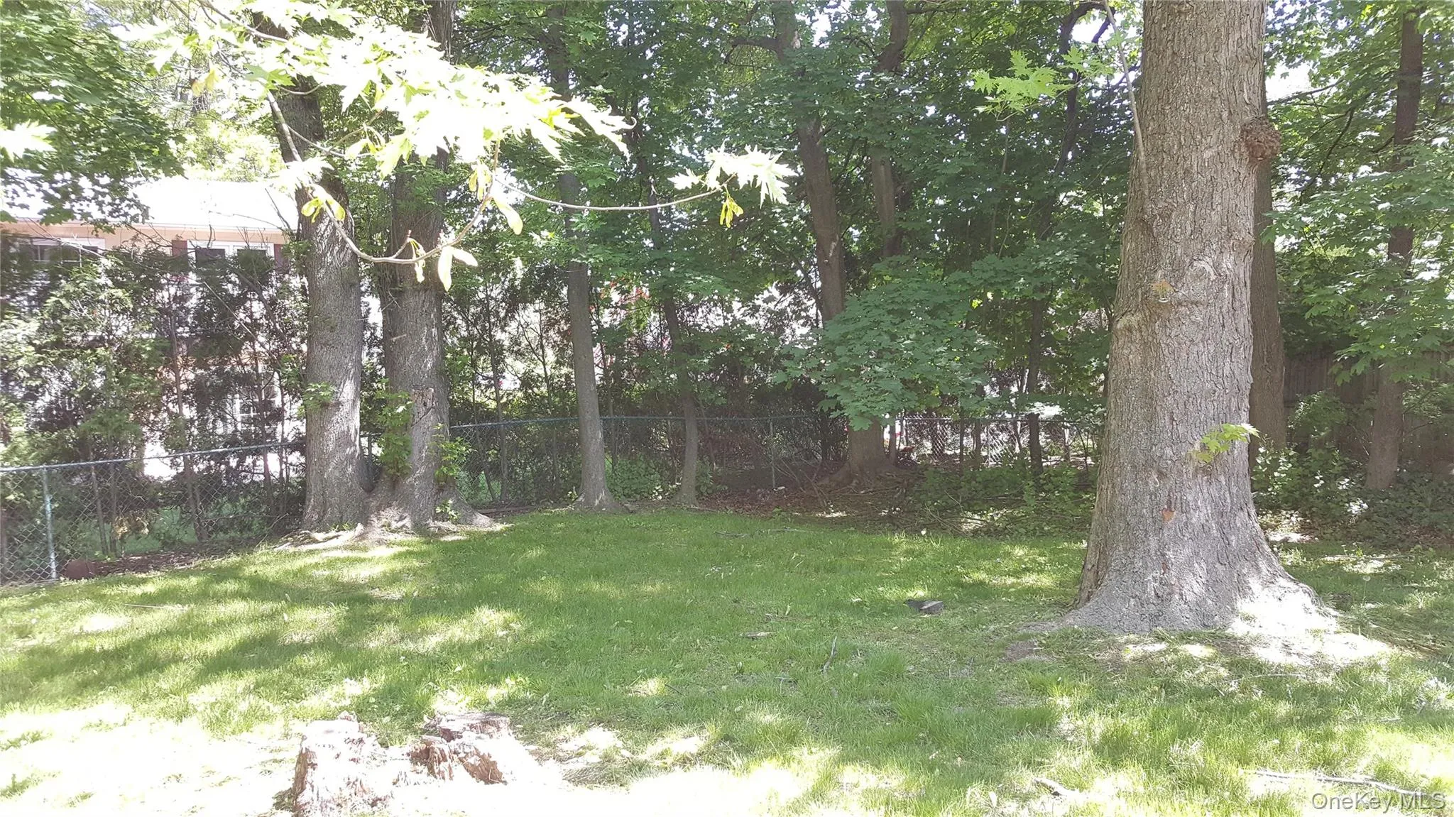 View of yard View of yard