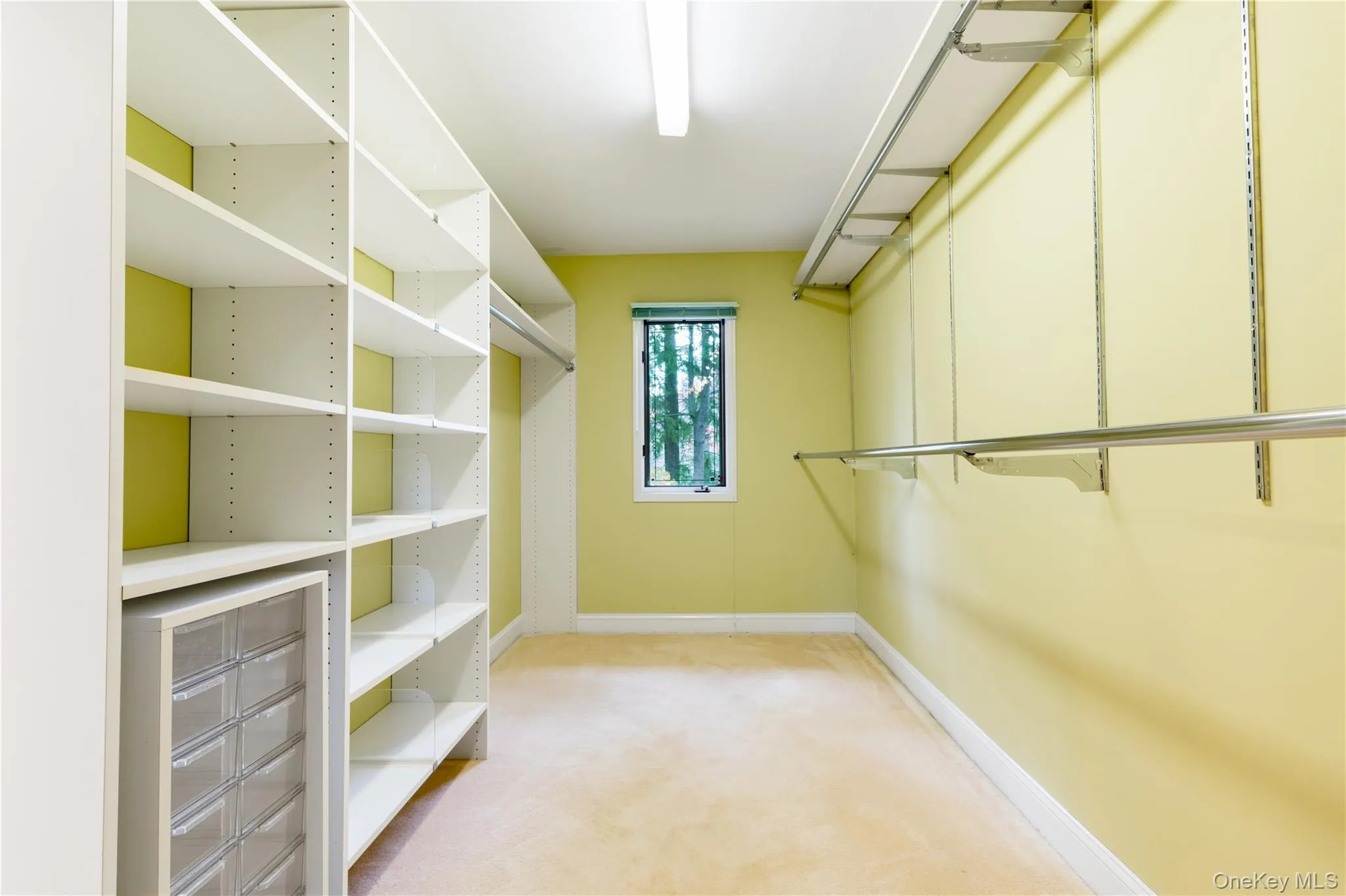 12 Bolton Drive, North Hempstead, NY, 5 Bedrooms Bedrooms, 12 Rooms Rooms,3 BathroomsBathrooms,Residential Lease,Idx,Bolton,0,938580 12 Bolton Drive, North Hempstead, NY, 5 Bedrooms Bedrooms, 12 Rooms Rooms,3 BathroomsBathrooms,Residential Lease,Idx,Bolton,0,938580