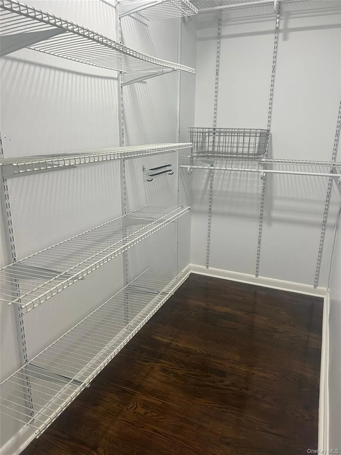 Master Bedroom Walk-in closet featuring dark wood finished floors Master Bedroom Walk-in closet featuring dark wood finished floors