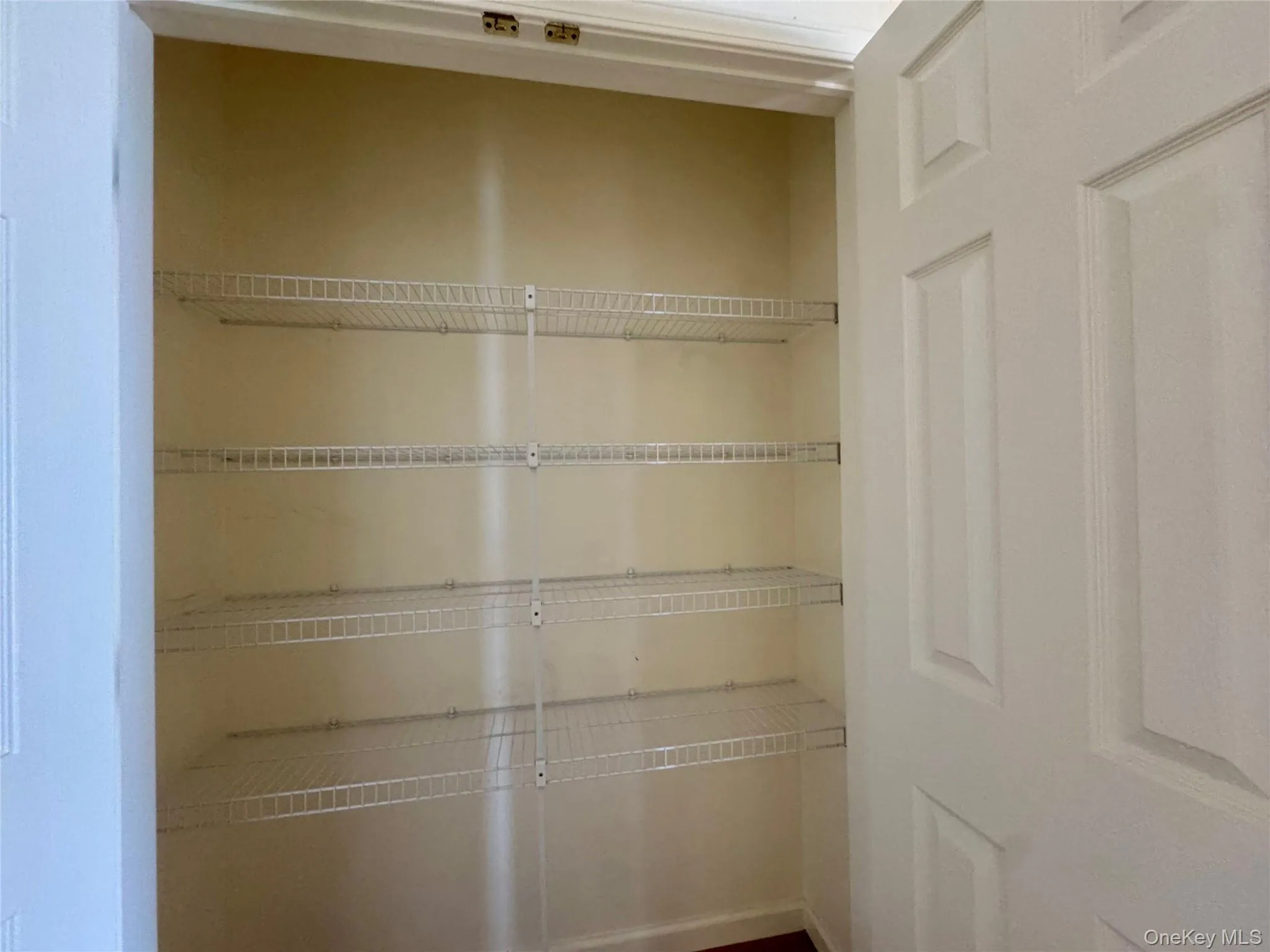 View of Hall Closet View of Hall Closet