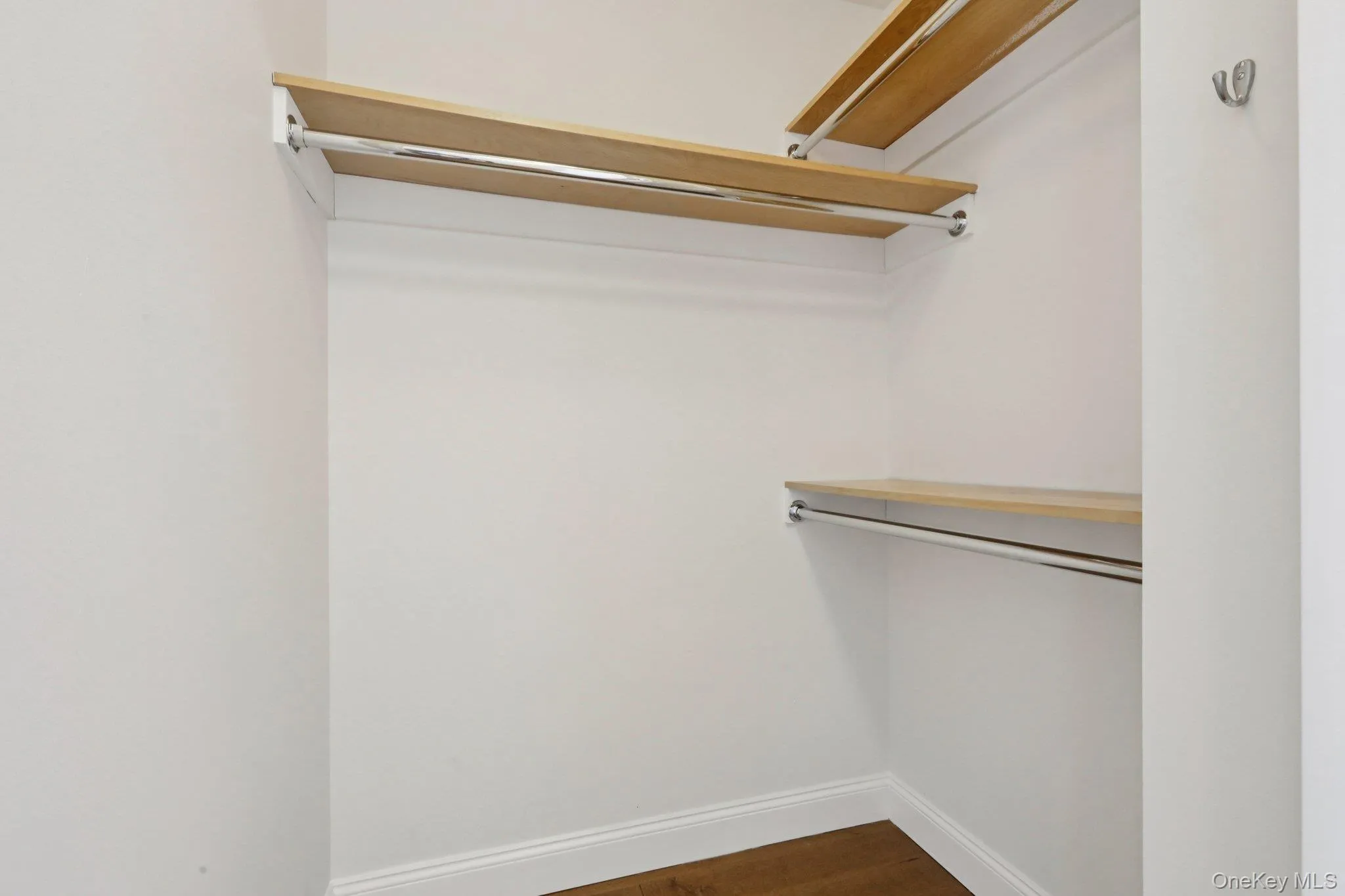 Spacious closet featuring dark wood-style floors Spacious closet featuring dark wood-style floors