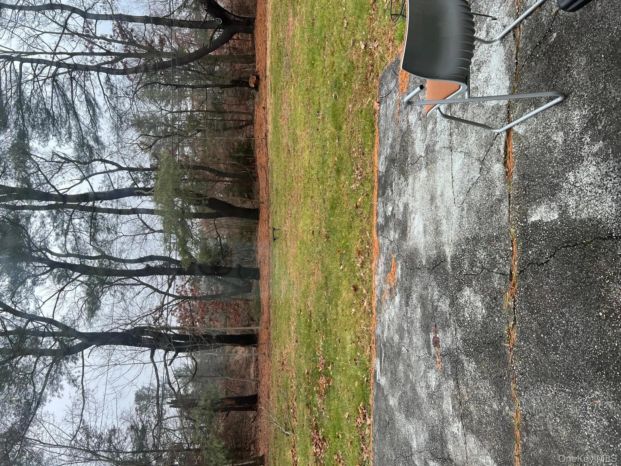 View of green lawn View of green lawn