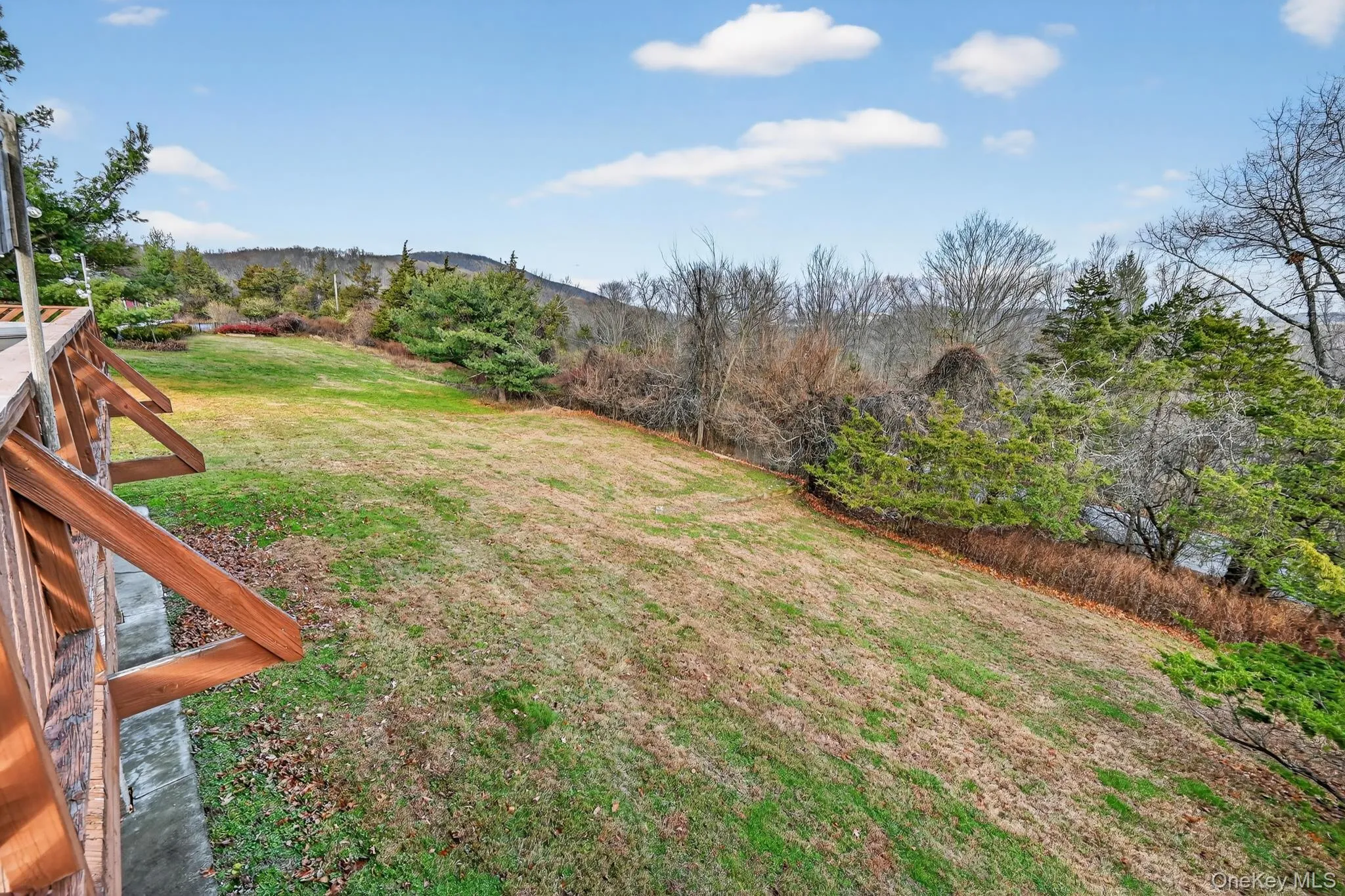 Large backyard grass area Large backyard grass area