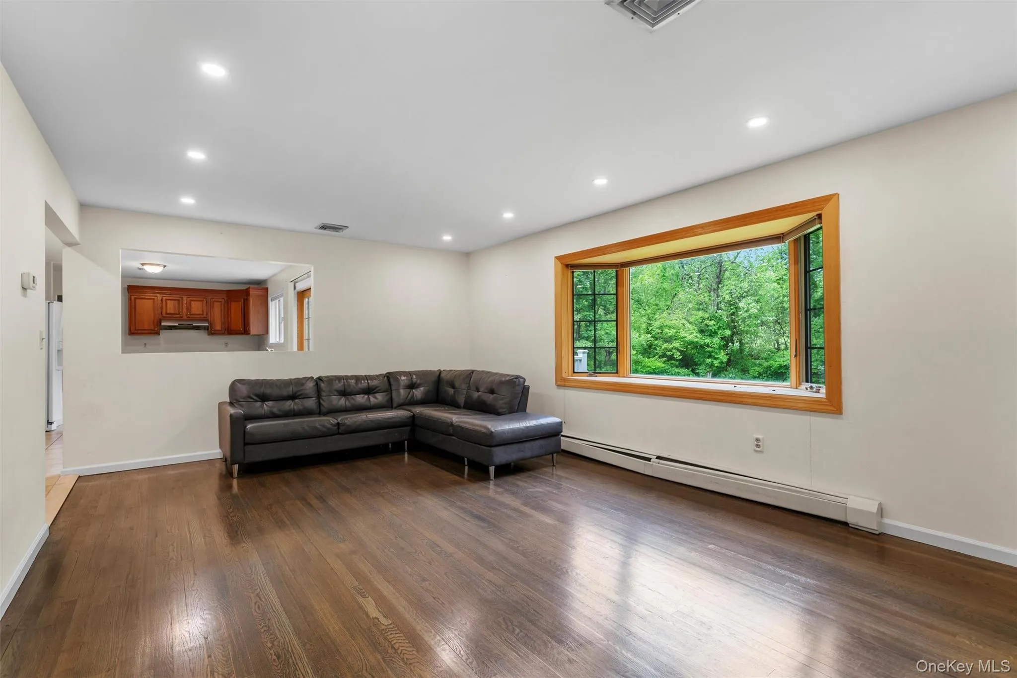 Living room with a baseboard radiator, dark wood-type flooring, and recessed lighting Living room with a baseboard radiator, dark wood-type flooring, and recessed lighting