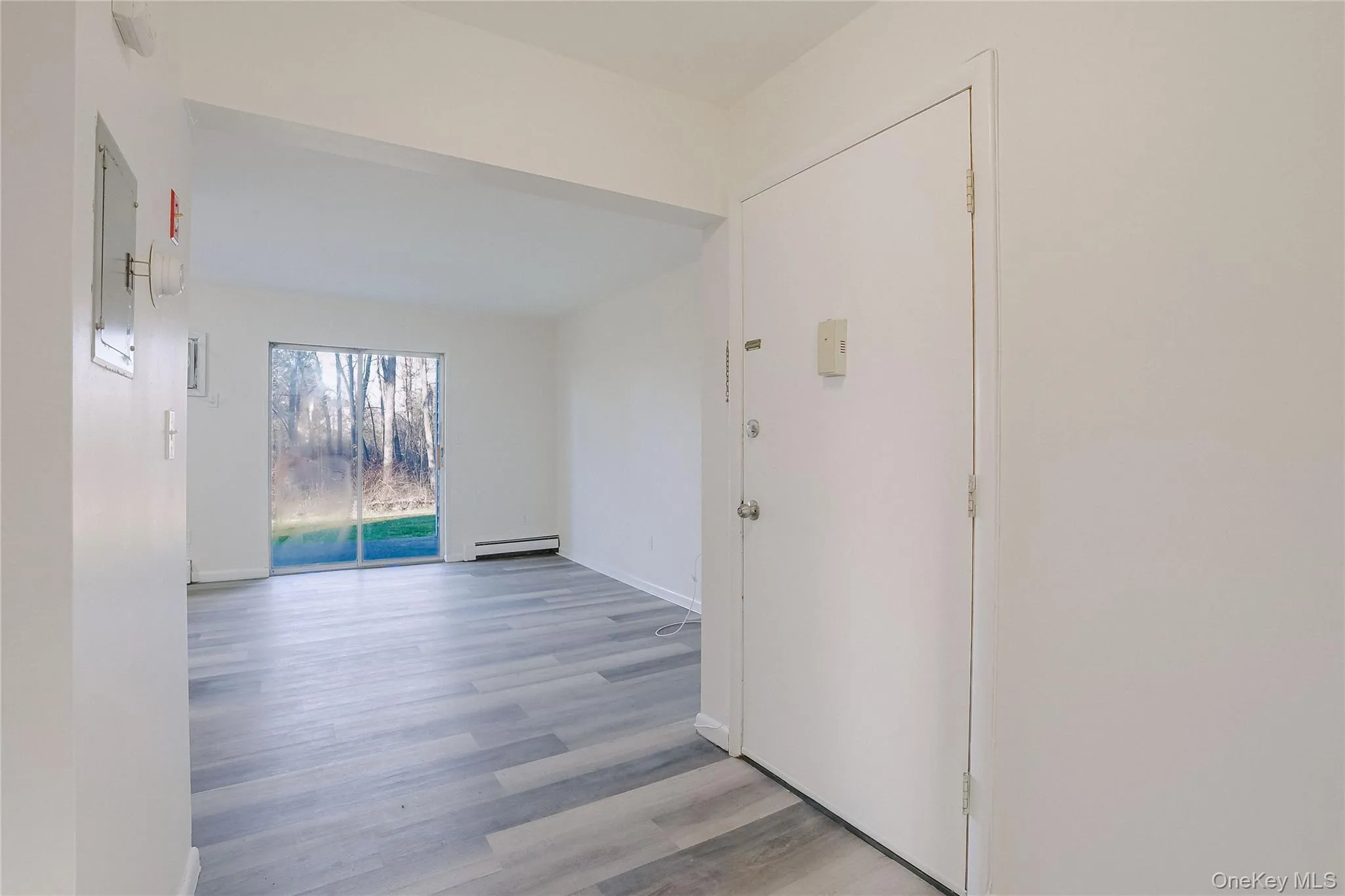 Unfurnished room featuring light wood finished floors, electric panel, and a baseboard radiator Unfurnished room featuring light wood finished floors, electric panel, and a baseboard radiator