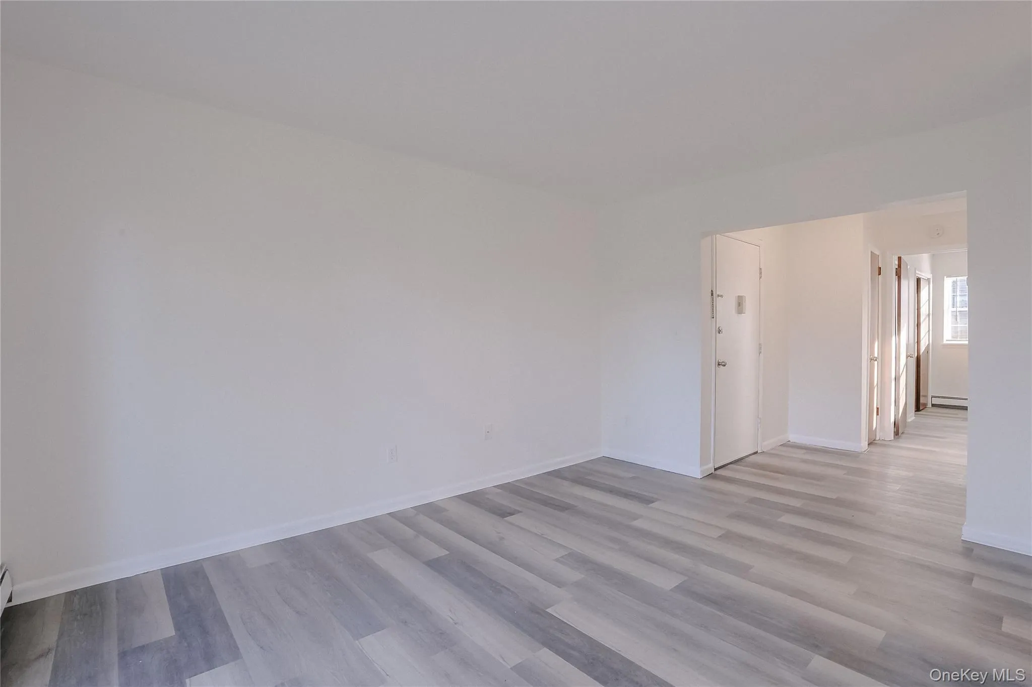 Unfurnished room featuring light wood-style floors and a baseboard radiator Unfurnished room featuring light wood-style floors and a baseboard radiator