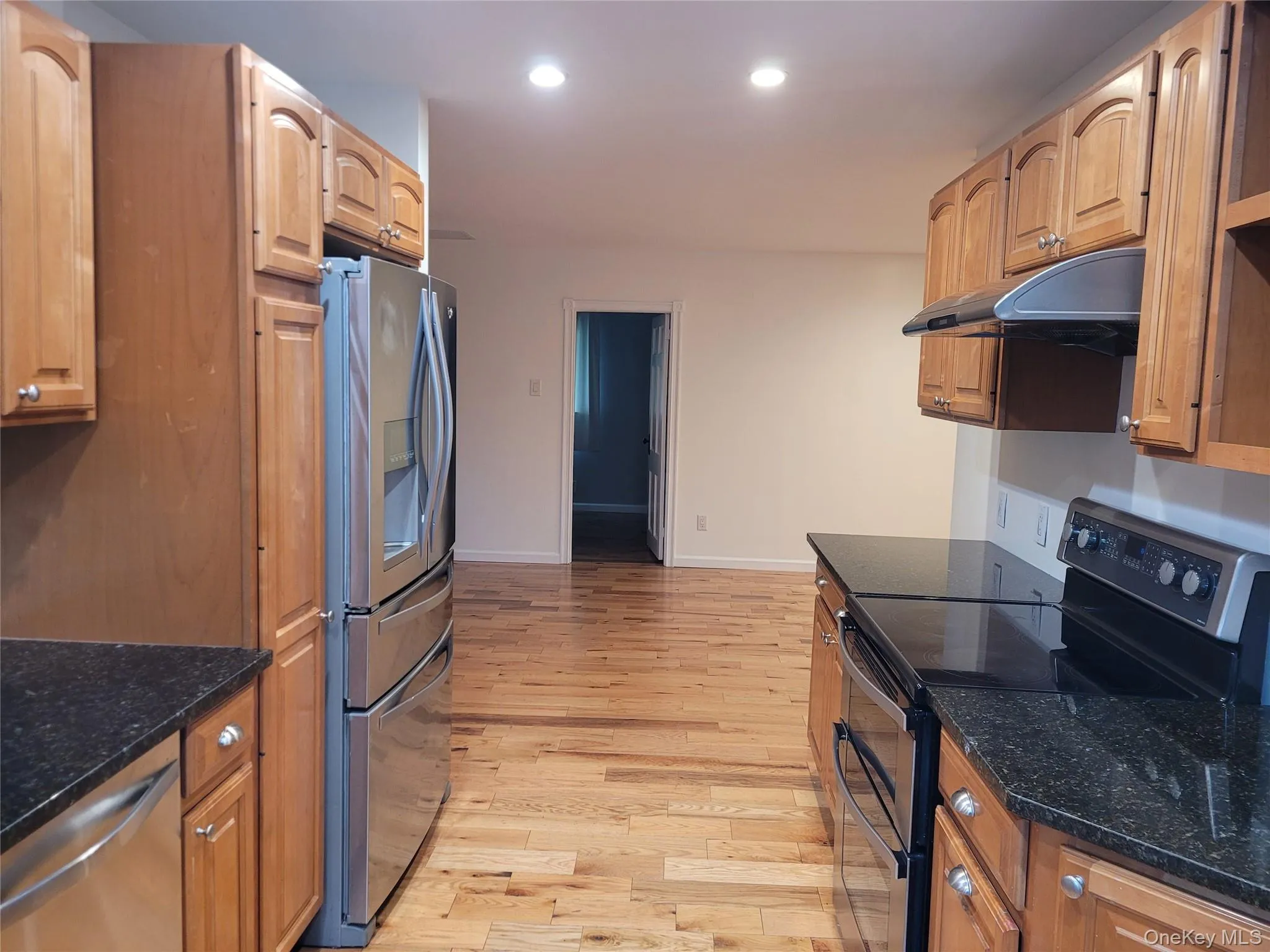 Kitchen with stainless steel appliances, light wood-style flooring, recessed lighting, under cabinet range hood, and dark stone counters Kitchen with stainless steel appliances, light wood-style flooring, recessed lighting, under cabinet range hood, and dark stone counters