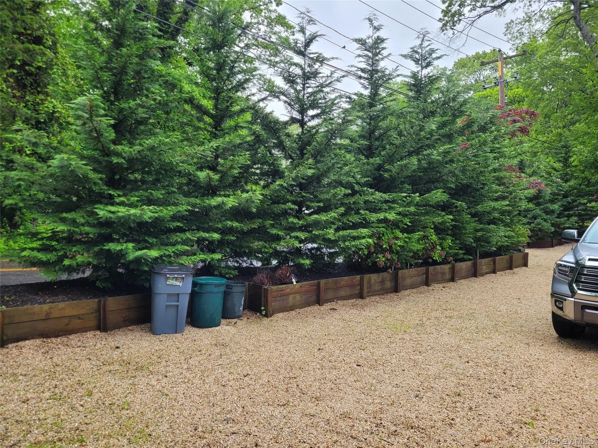 View of yard View of yard