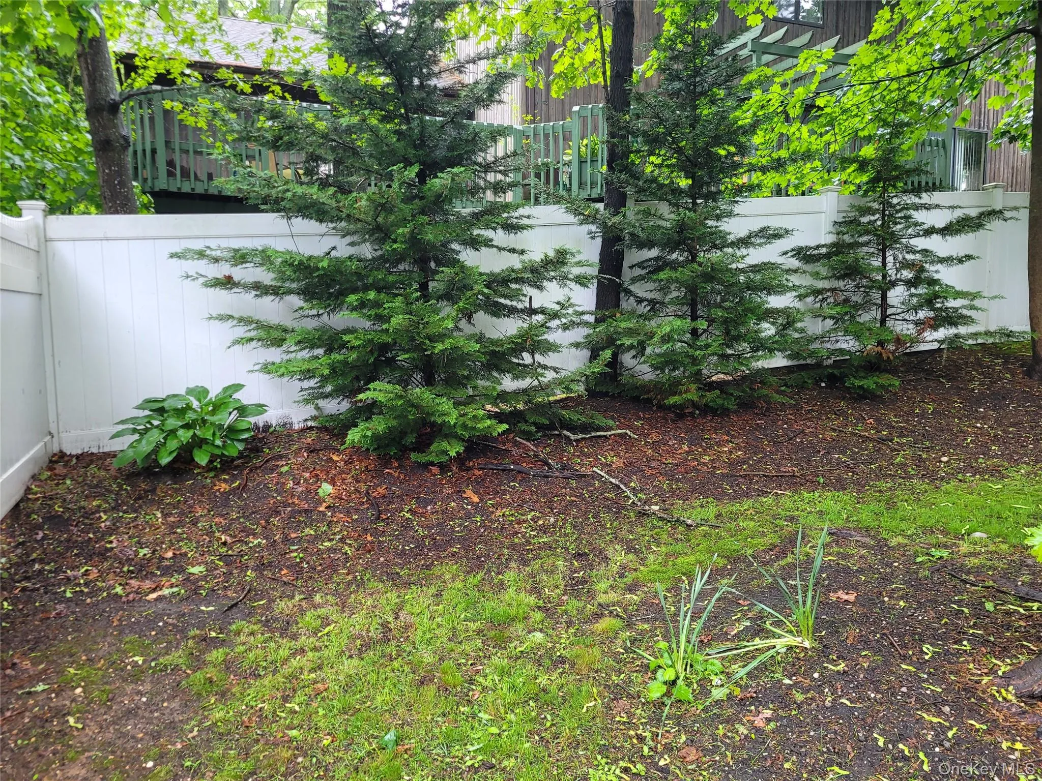 View of yard View of yard