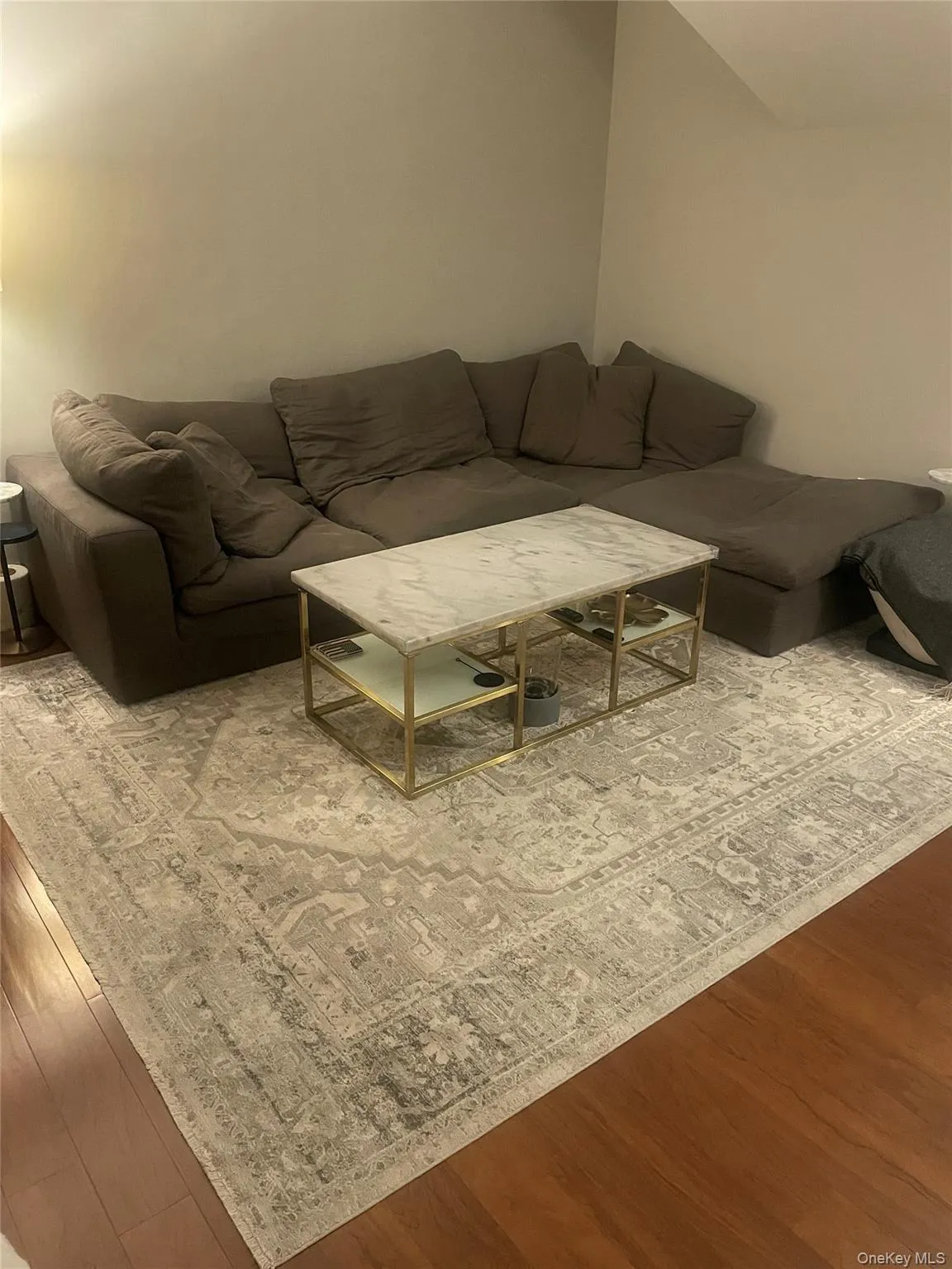 Living area featuring wood finished floors Living area featuring wood finished floors