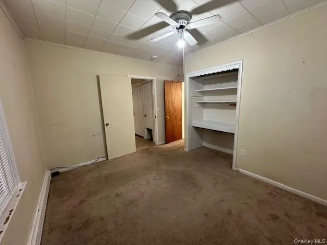 Unfurnished bedroom featuring a closet, carpet flooring, ornamental molding, and a ceiling fan Unfurnished bedroom featuring a closet, carpet flooring, ornamental molding, and a ceiling fan