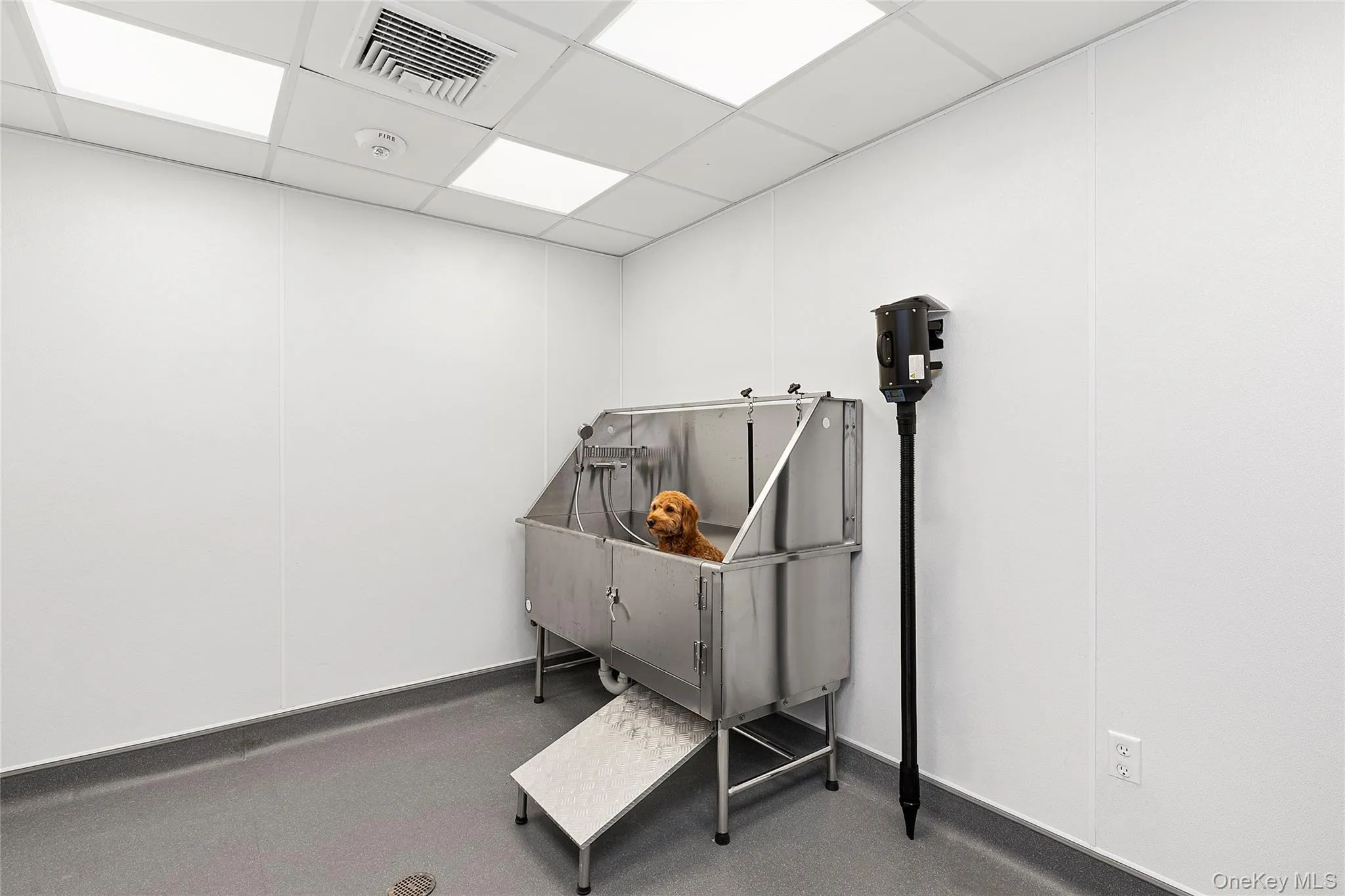 695 Merrick Avenue, North Hempstead, NY, 3 Bedrooms Bedrooms, 7 Rooms Rooms,3 BathroomsBathrooms,Residential Lease,Idx,Merrick,0,938862 695 Merrick Avenue, North Hempstead, NY, 3 Bedrooms Bedrooms, 7 Rooms Rooms,3 BathroomsBathrooms,Residential Lease,Idx,Merrick,0,938862