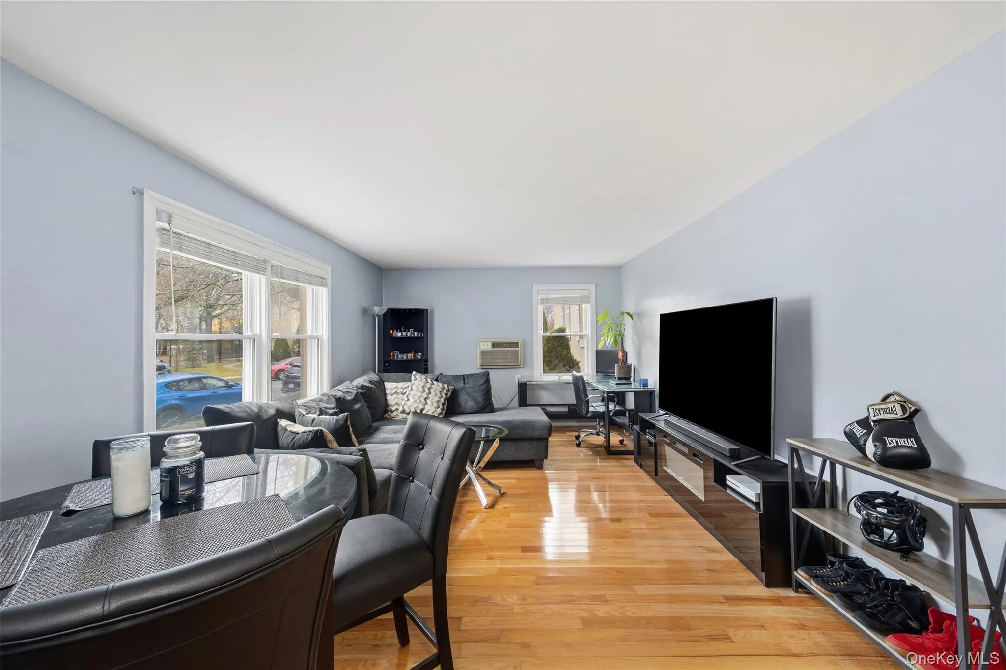 Living area featuring light wood-style floors and healthy amount of natural light Living area featuring light wood-style floors and healthy amount of natural light